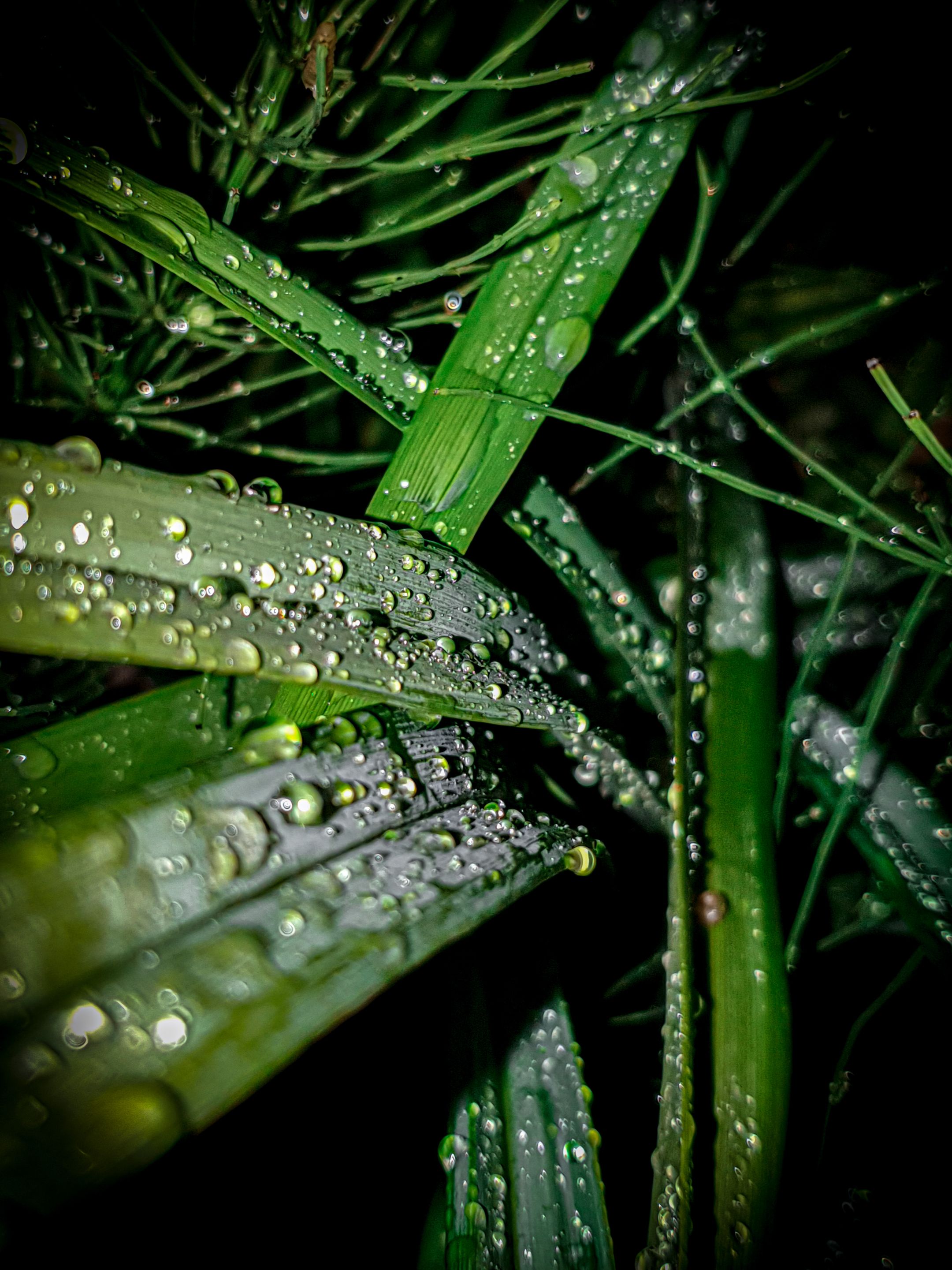 20220708_234926.jpg
