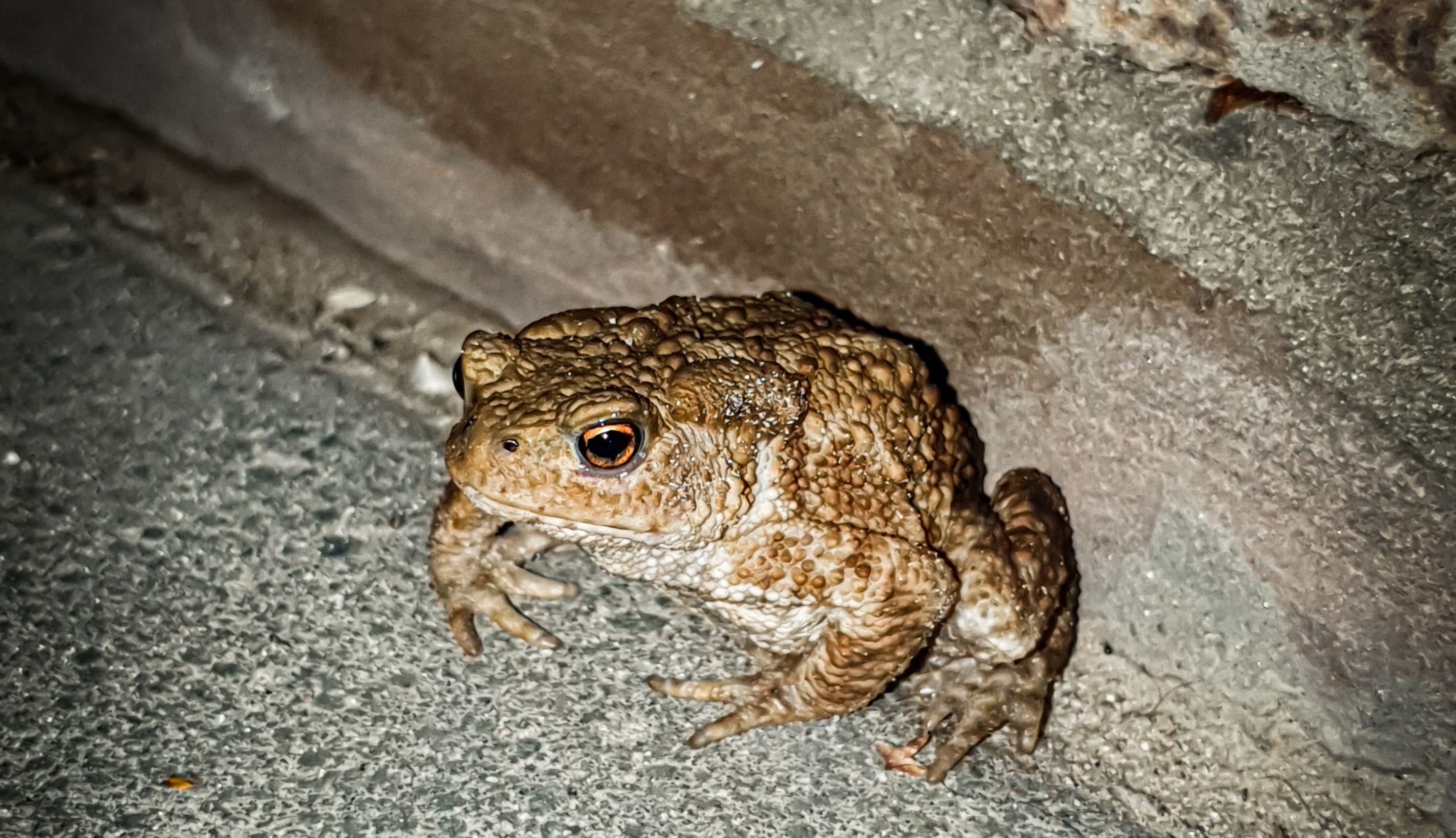20220819_214936.jpg