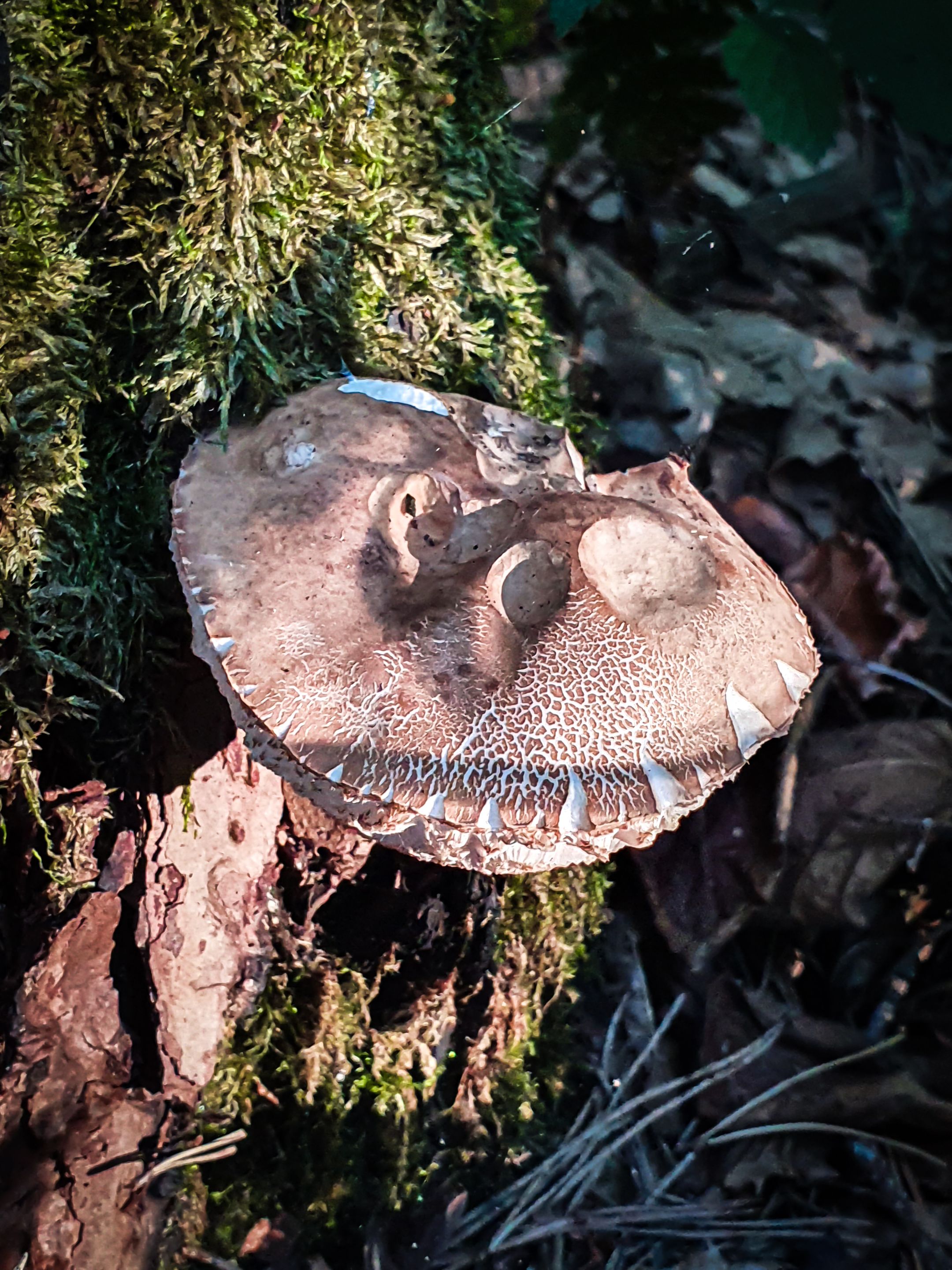 20220830_180737.jpg