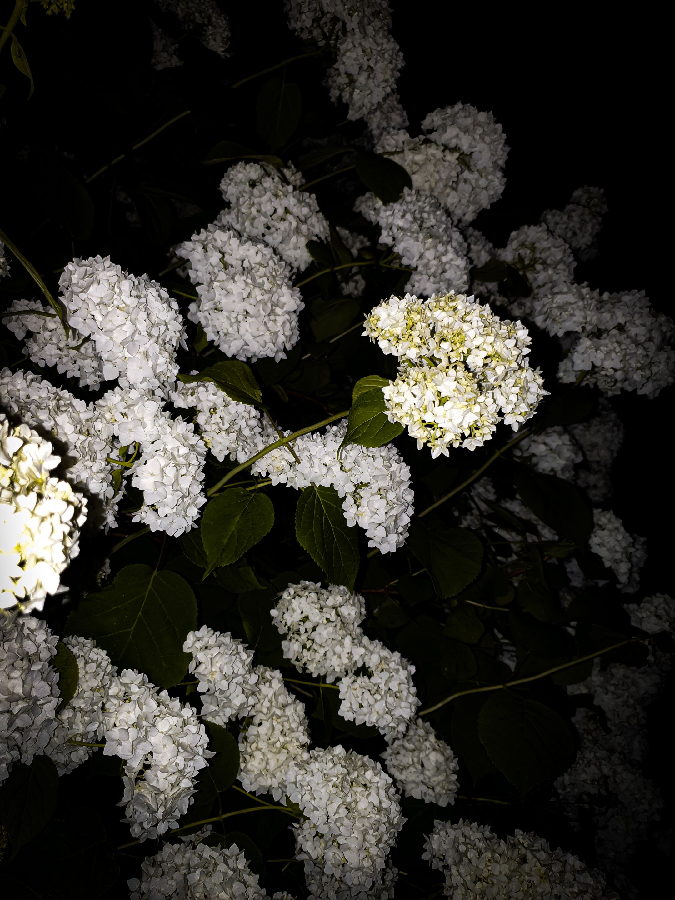 20220701_224859.jpg