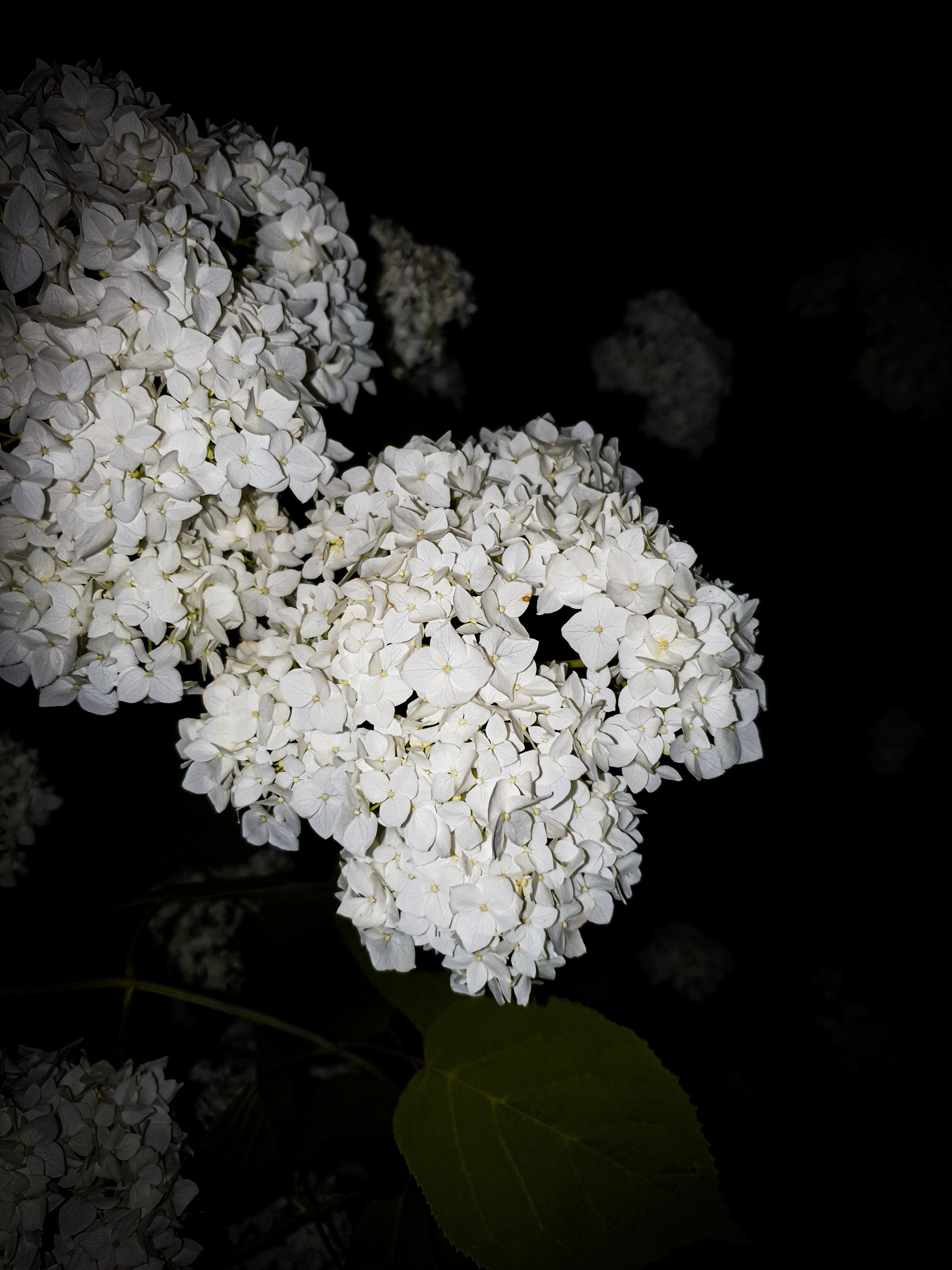 20220701_224551.jpg