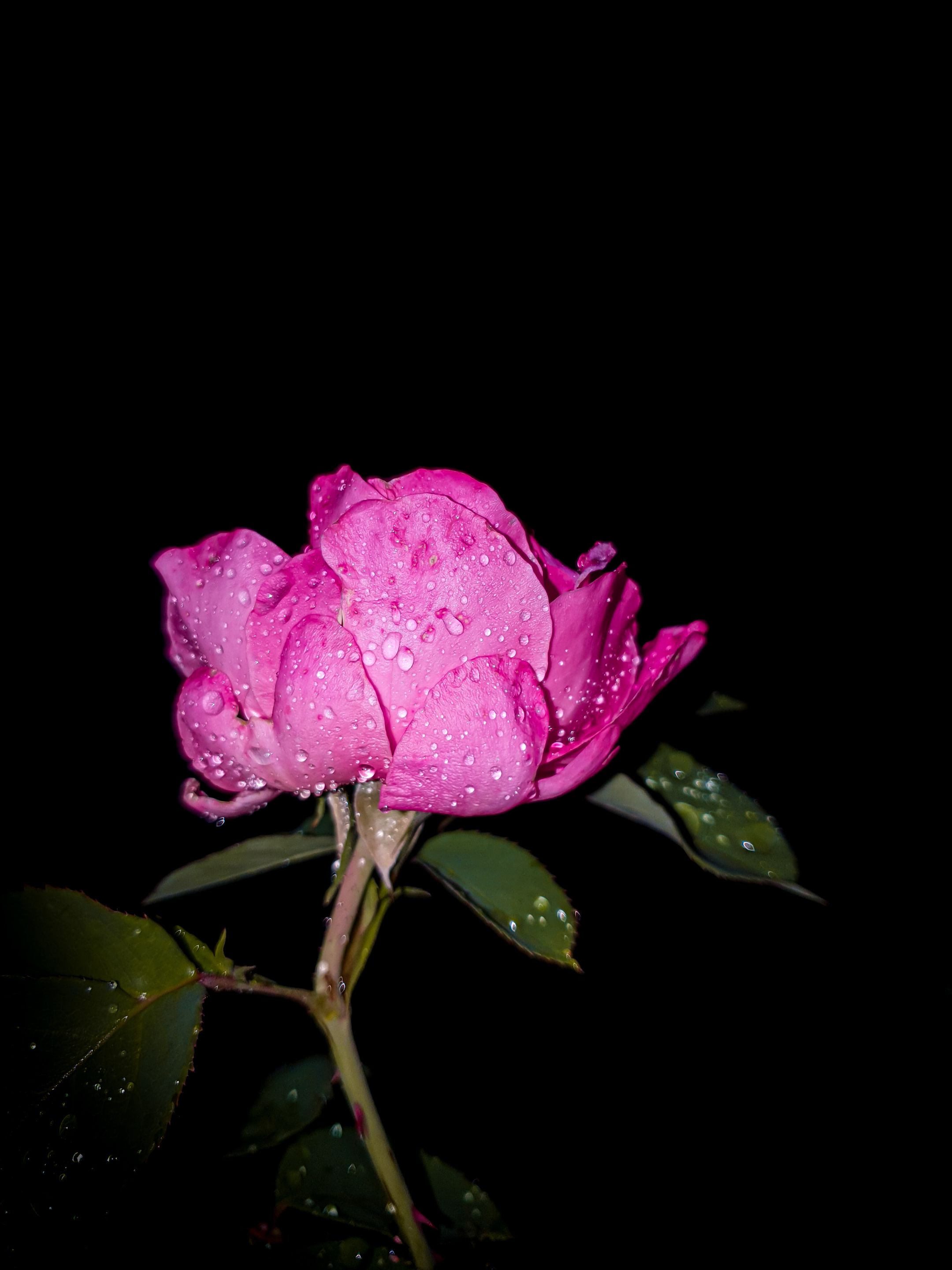 20220708_234454.jpg