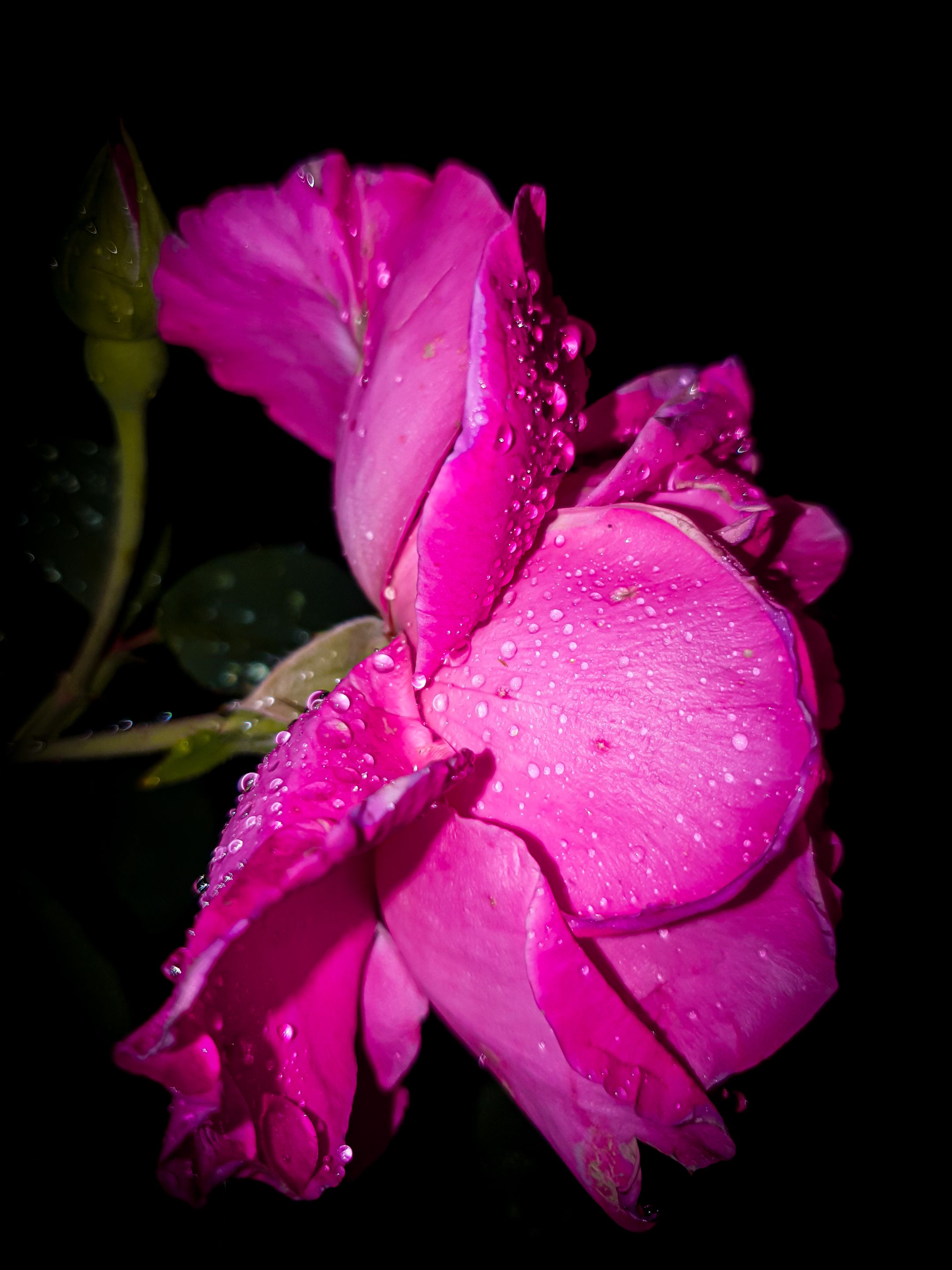 20220708_234557.jpg