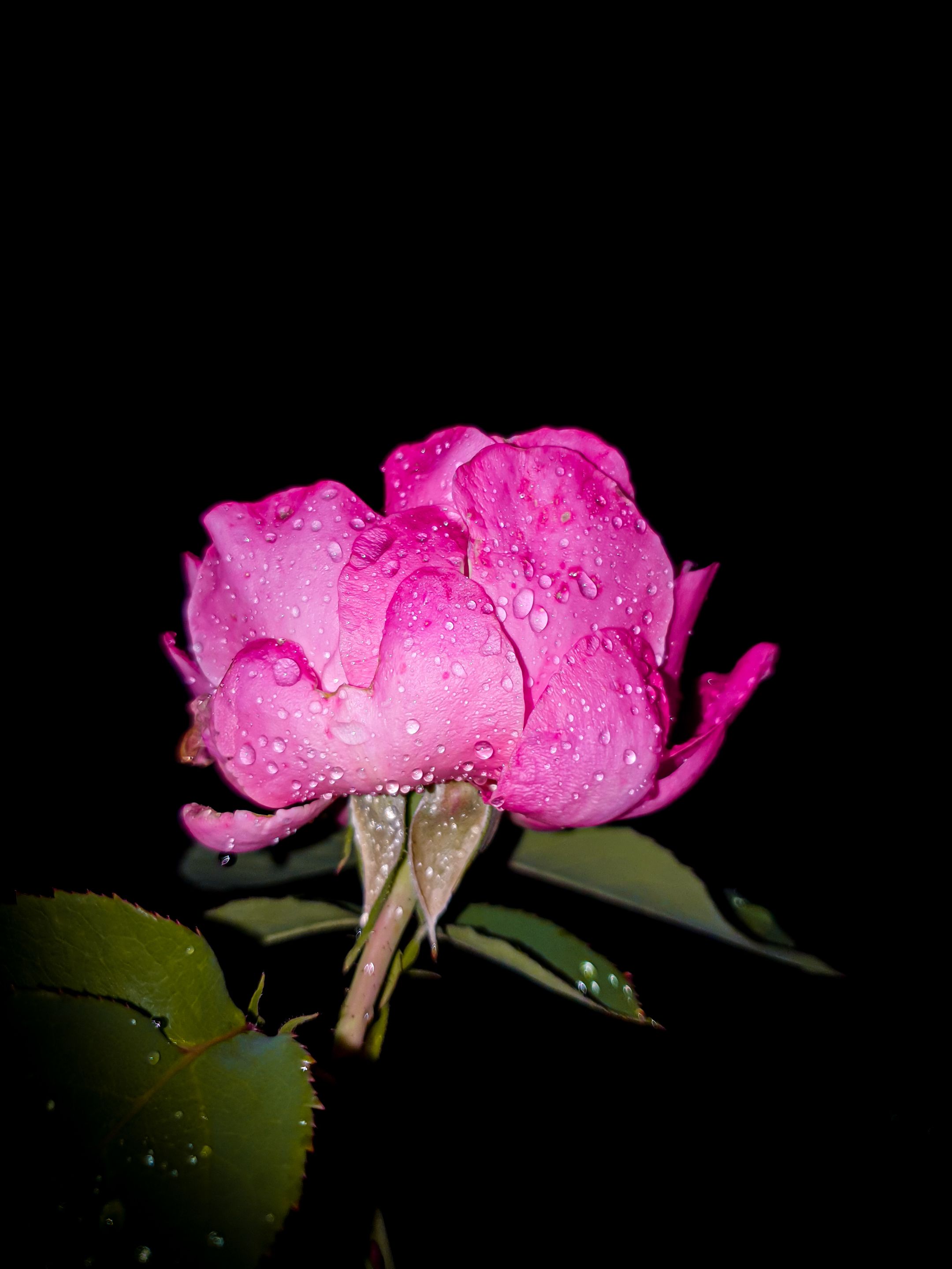 20220708_234500.jpg