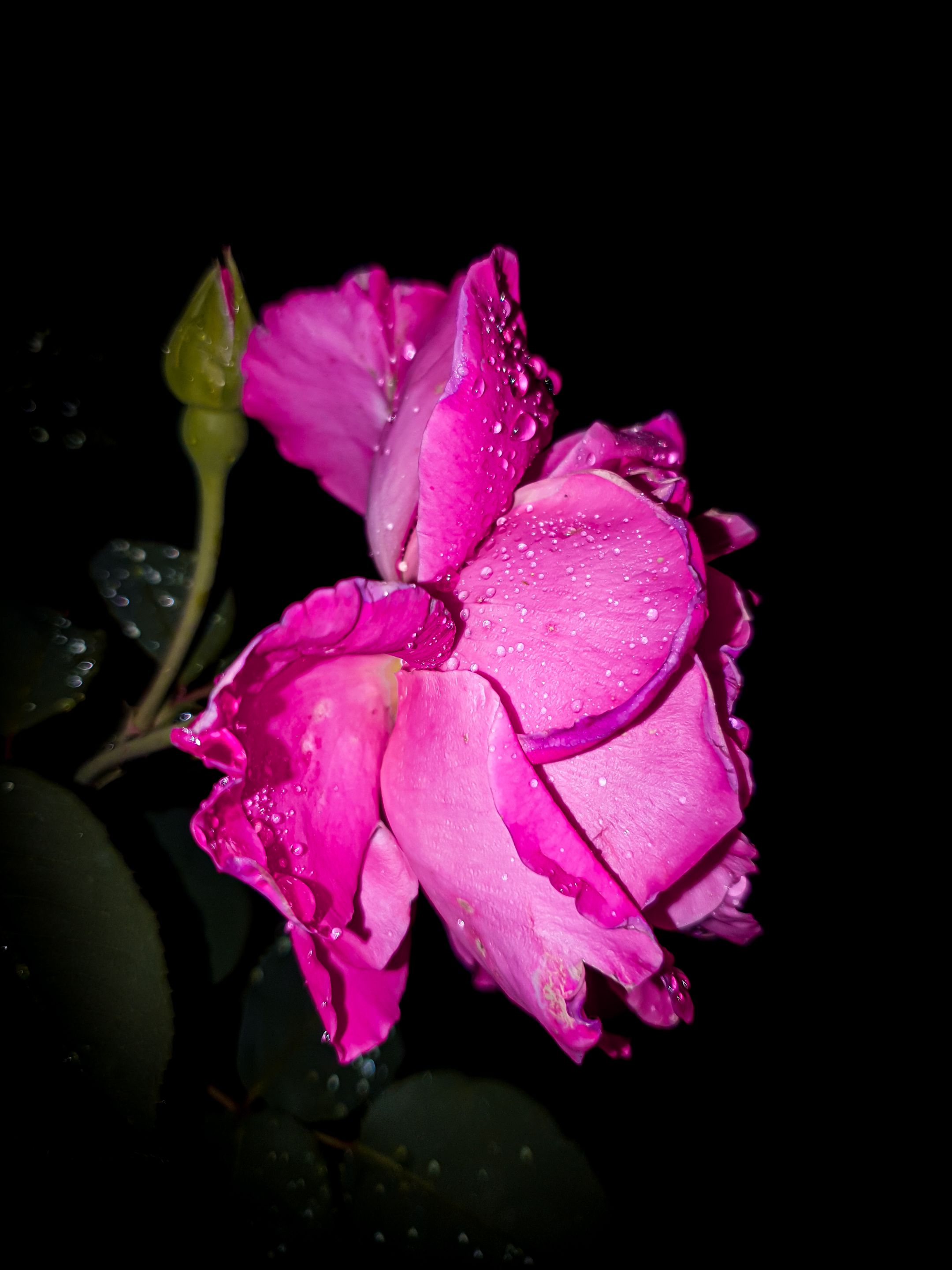 20220708_234553.jpg