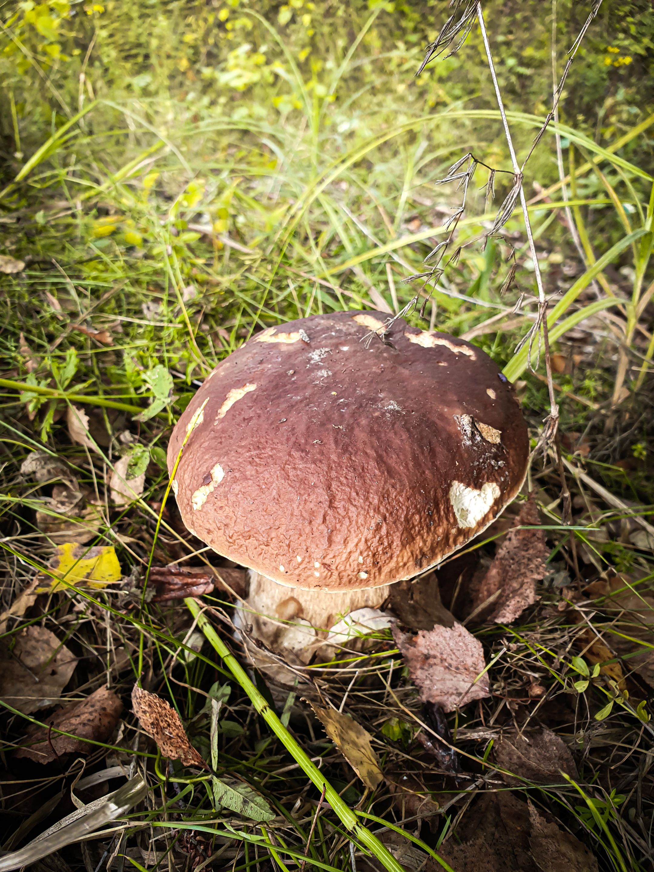 20220925_094000.jpg