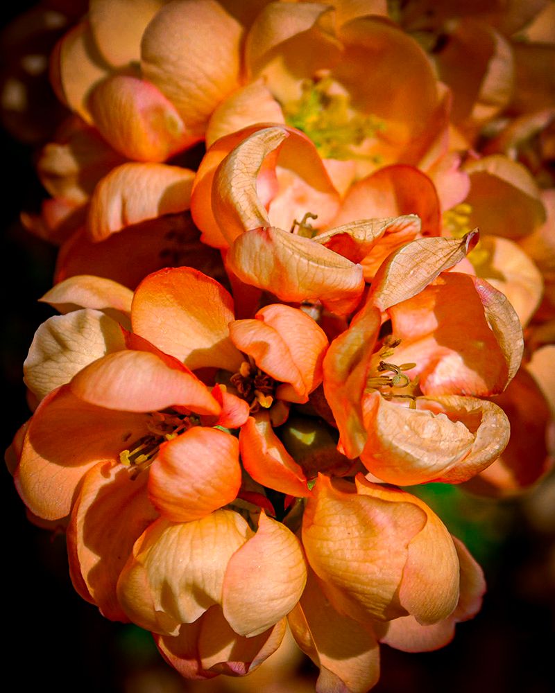 DSC_1269.jpg