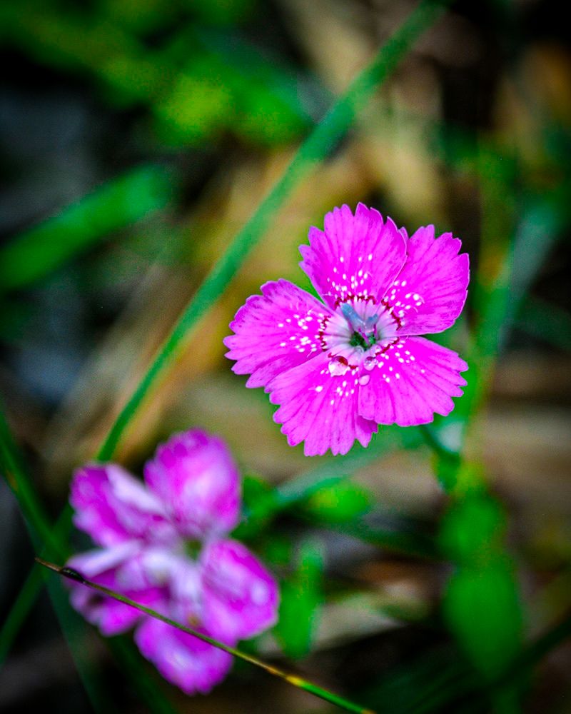 DSC_1144.jpg