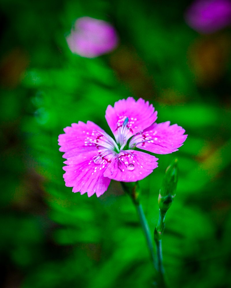 DSC_1143.jpg
