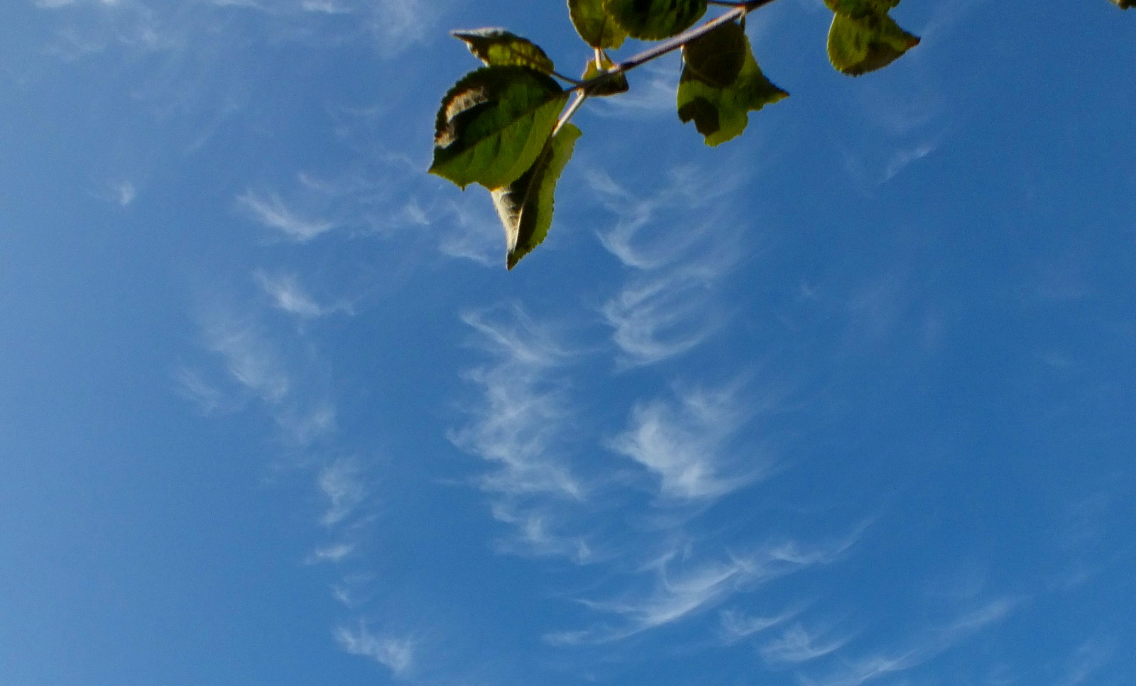 WLE0297-WispyClouds2.JPG