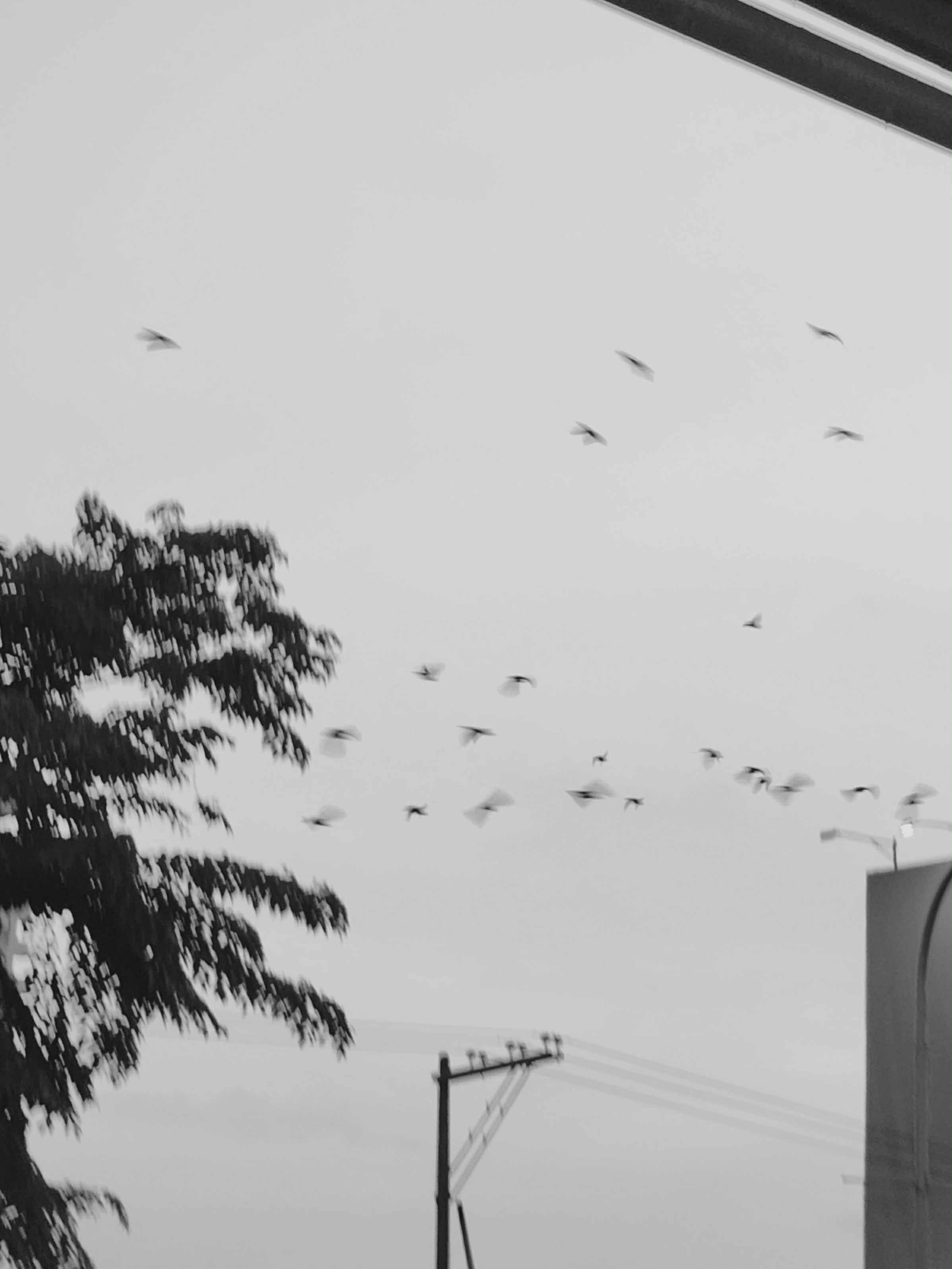1000042793.jpg