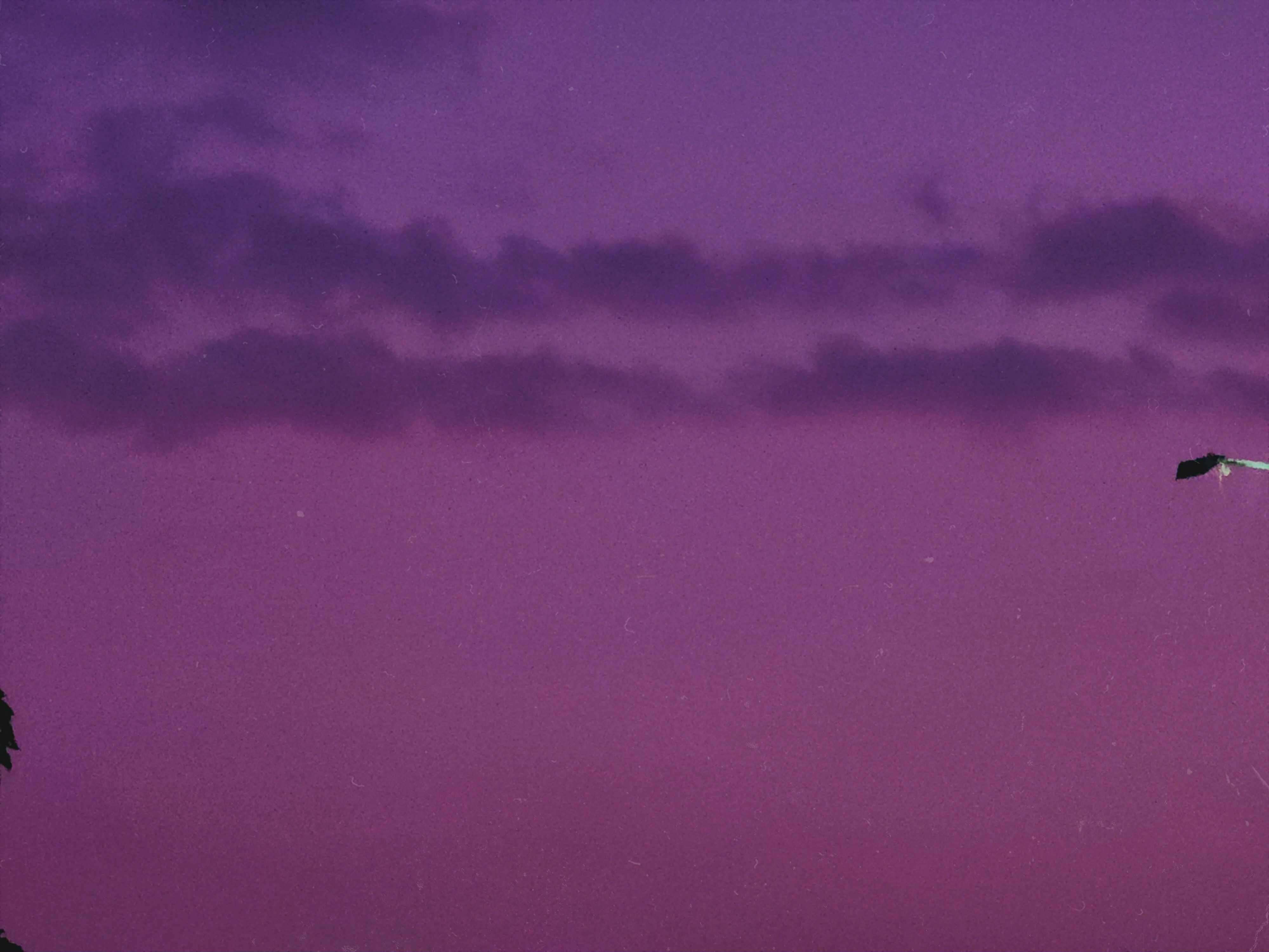1000042790.jpg