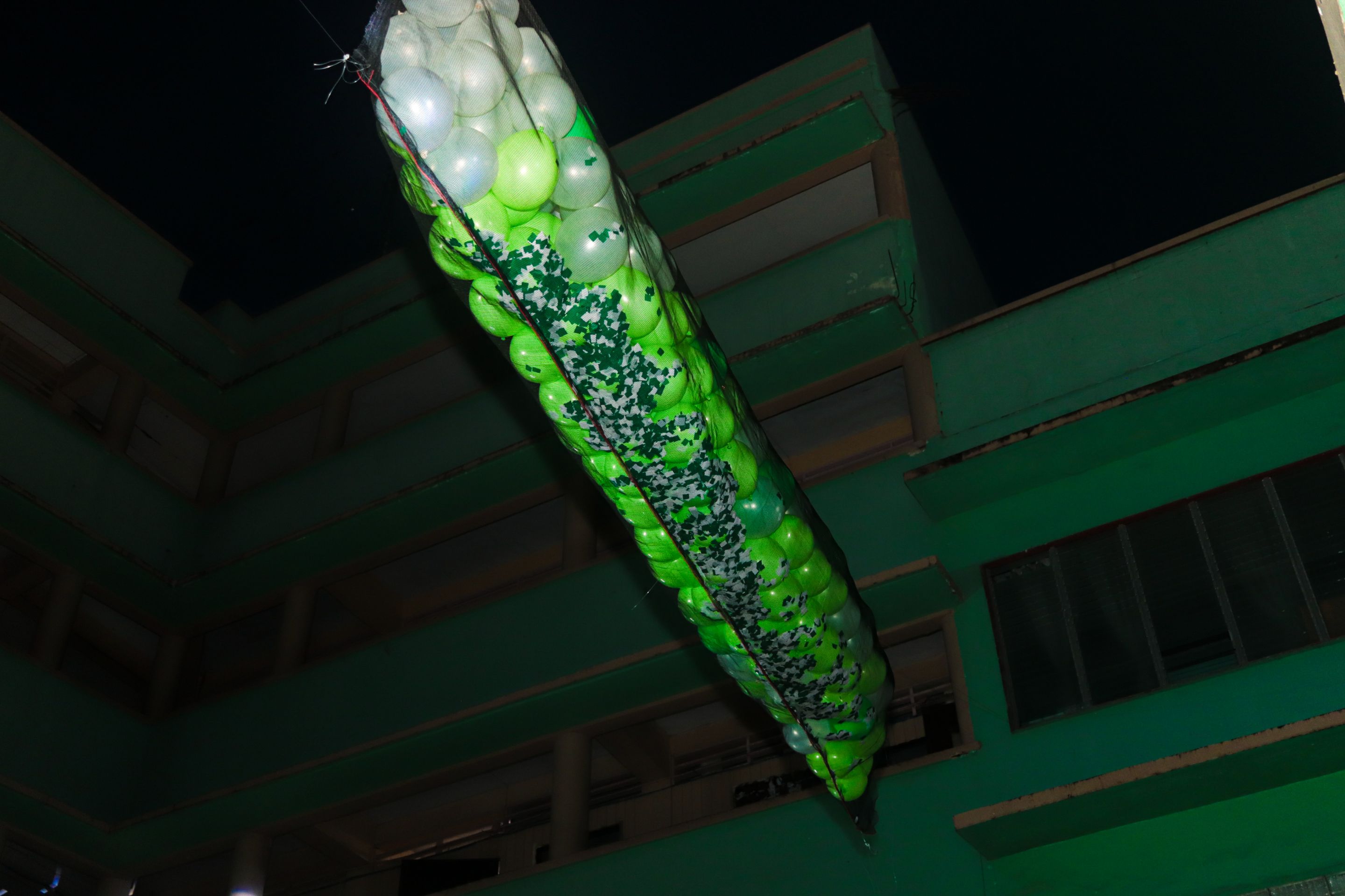 IMG_3937.jpg