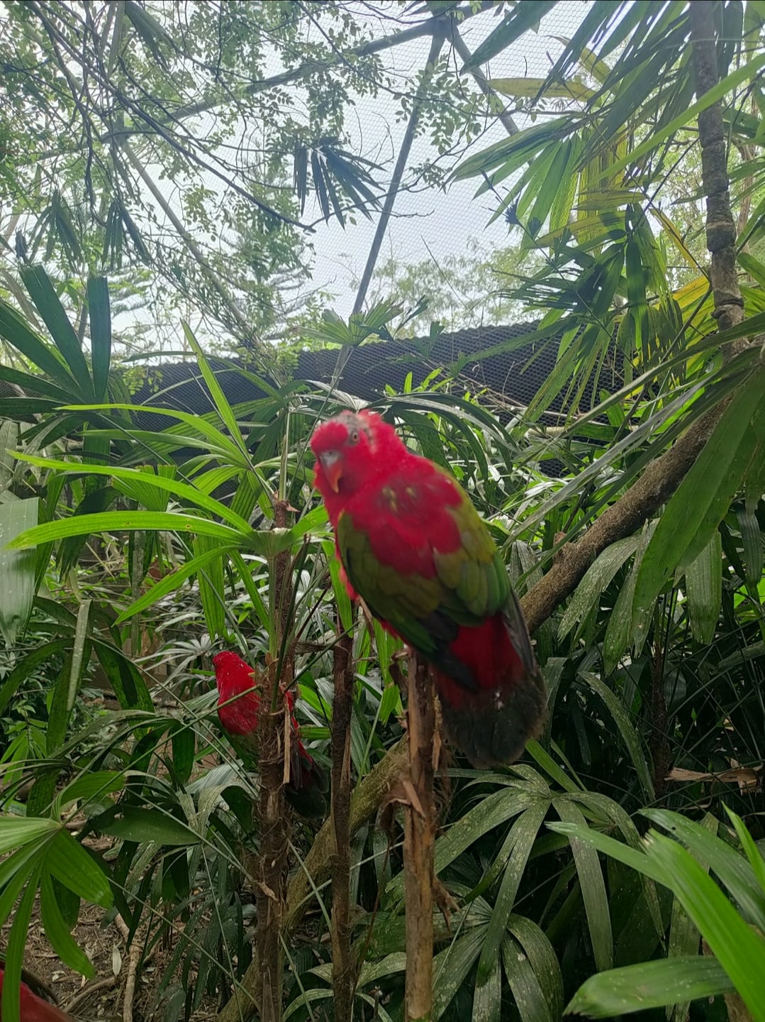 Messenger_creation_6541B210-7EA7-4145-A8B1-F02E4D31C7AC.jpeg