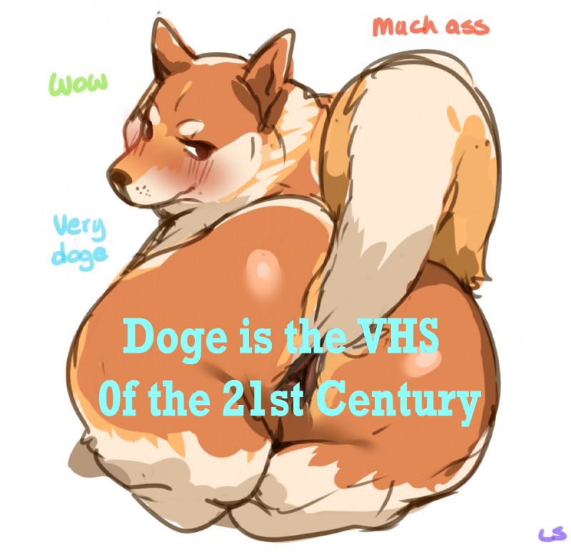 dog.jpg