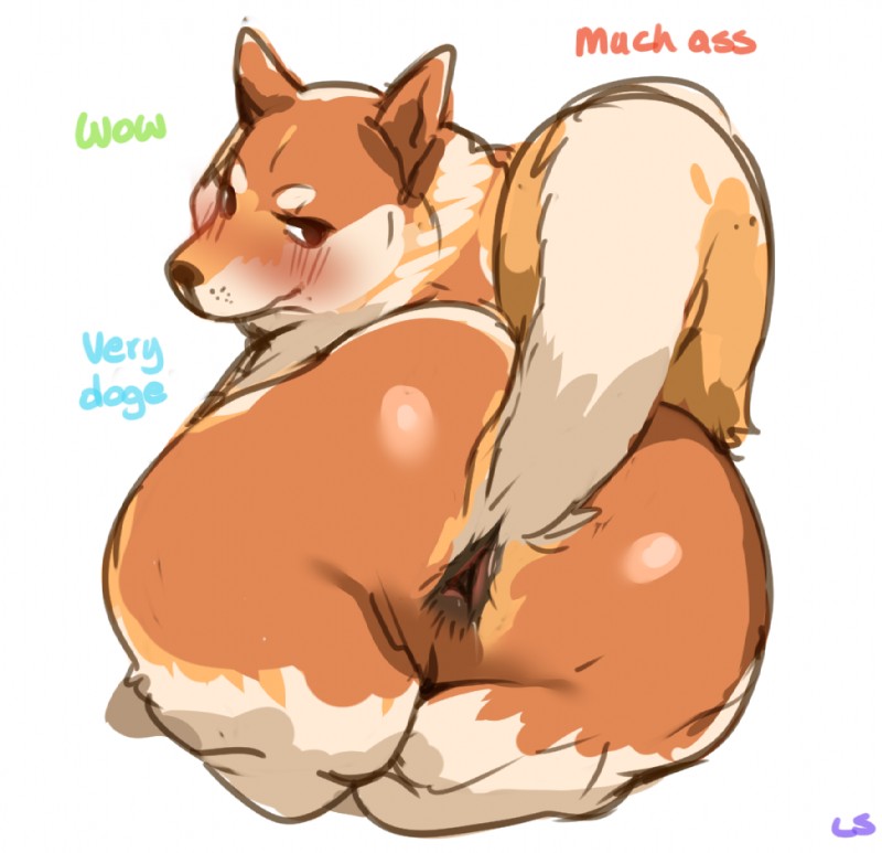2524892 - LightSource doge meme.jpg
