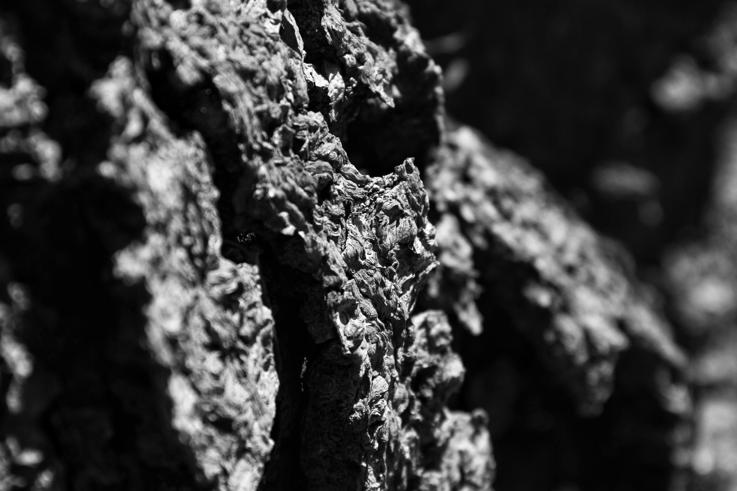 IMG_3341-01.jpeg