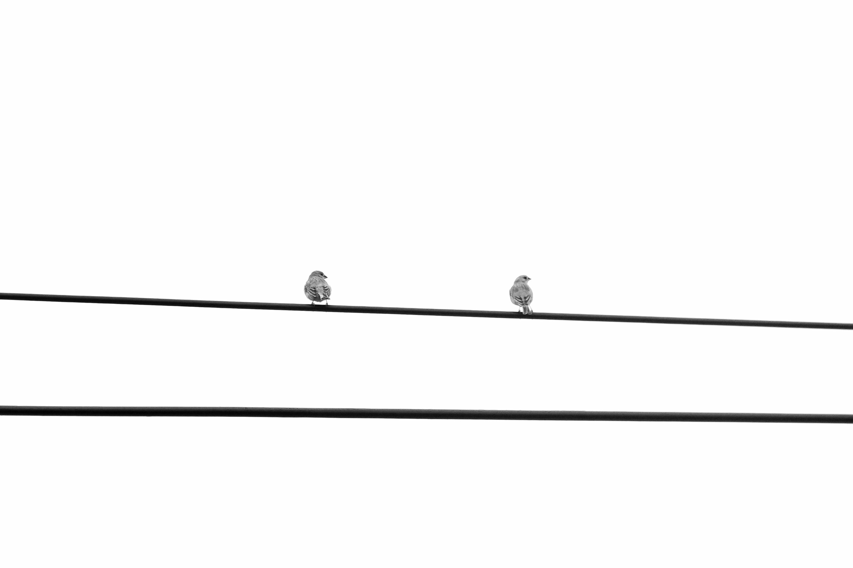 1000158576.jpg