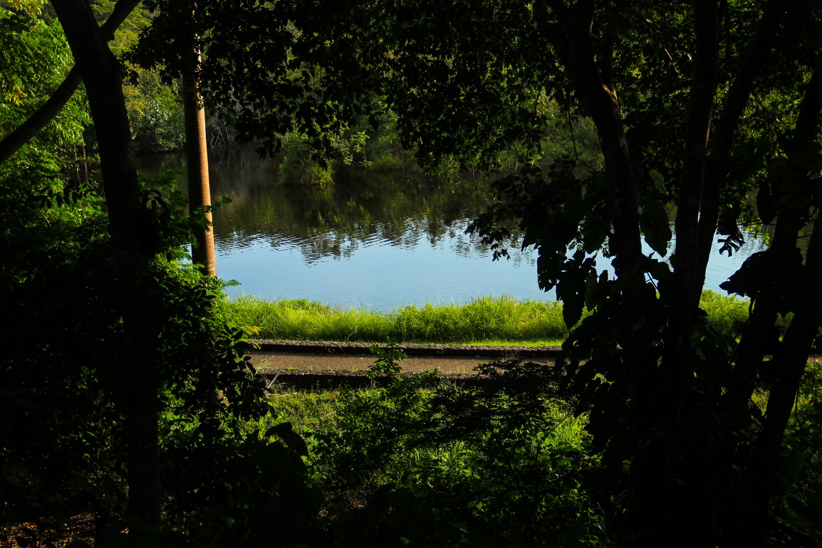 IMG_7545.jpg
