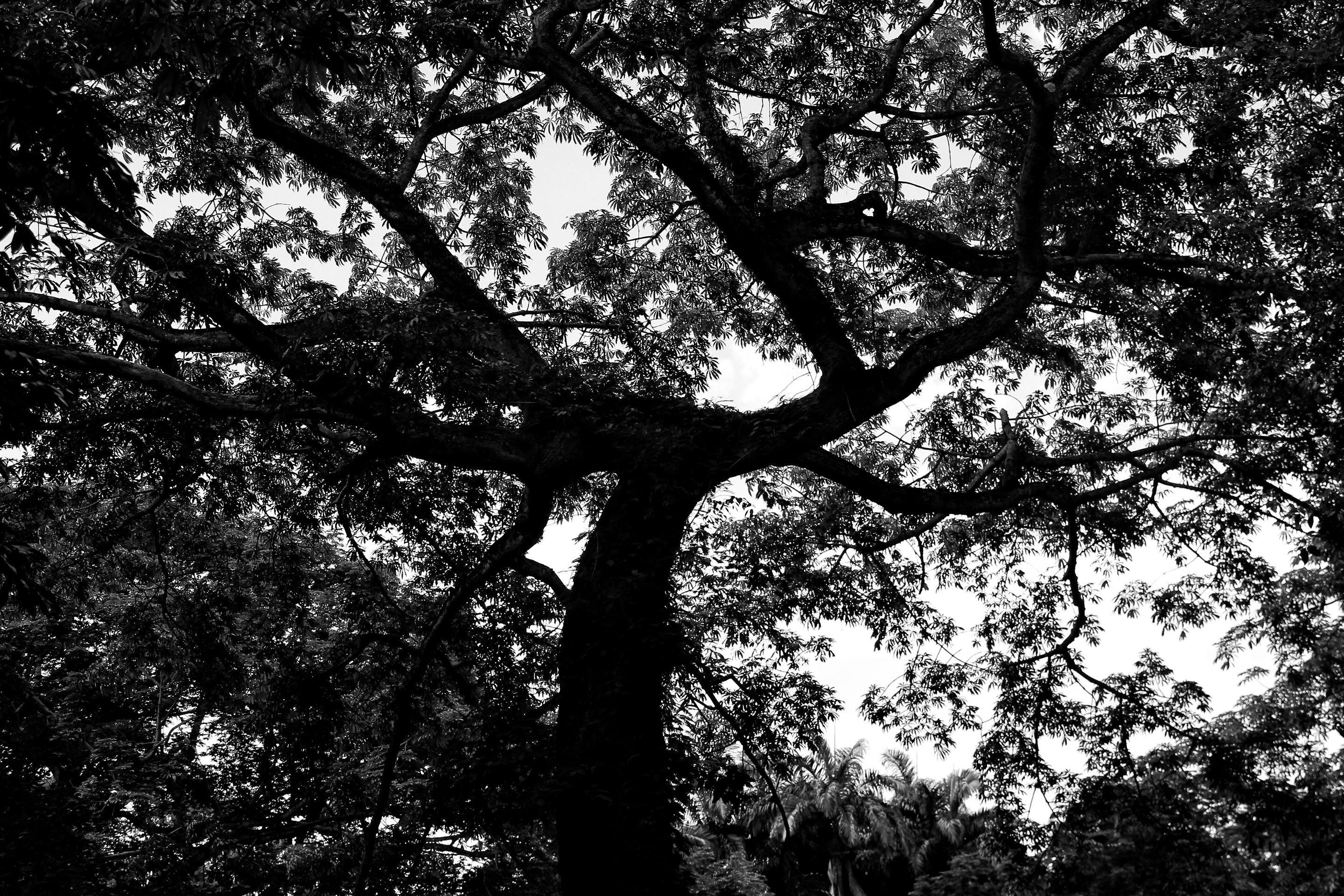 IMG_5601-01-01.jpeg