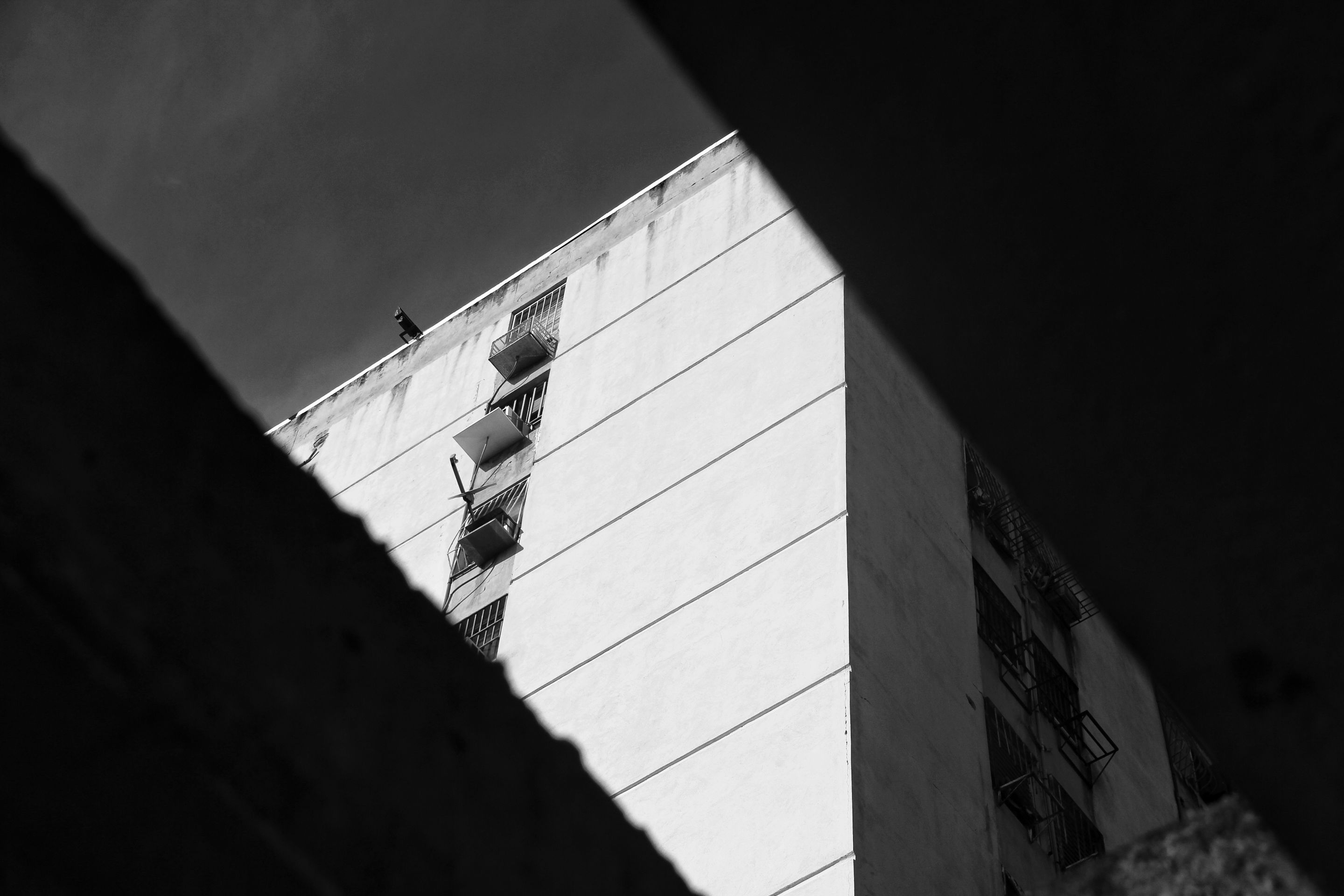 1000189689.jpg