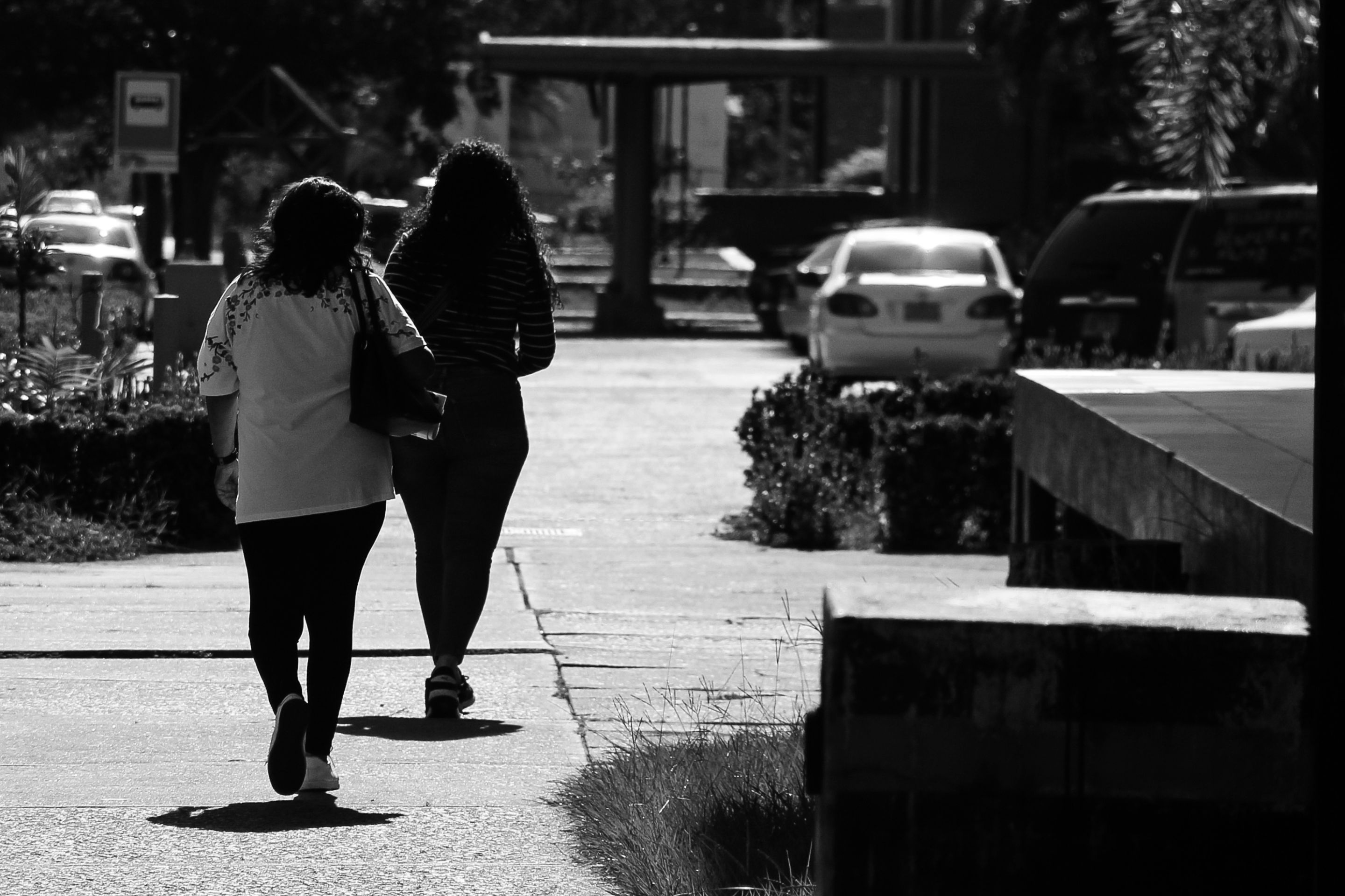 IMG_5235 (1).jpg