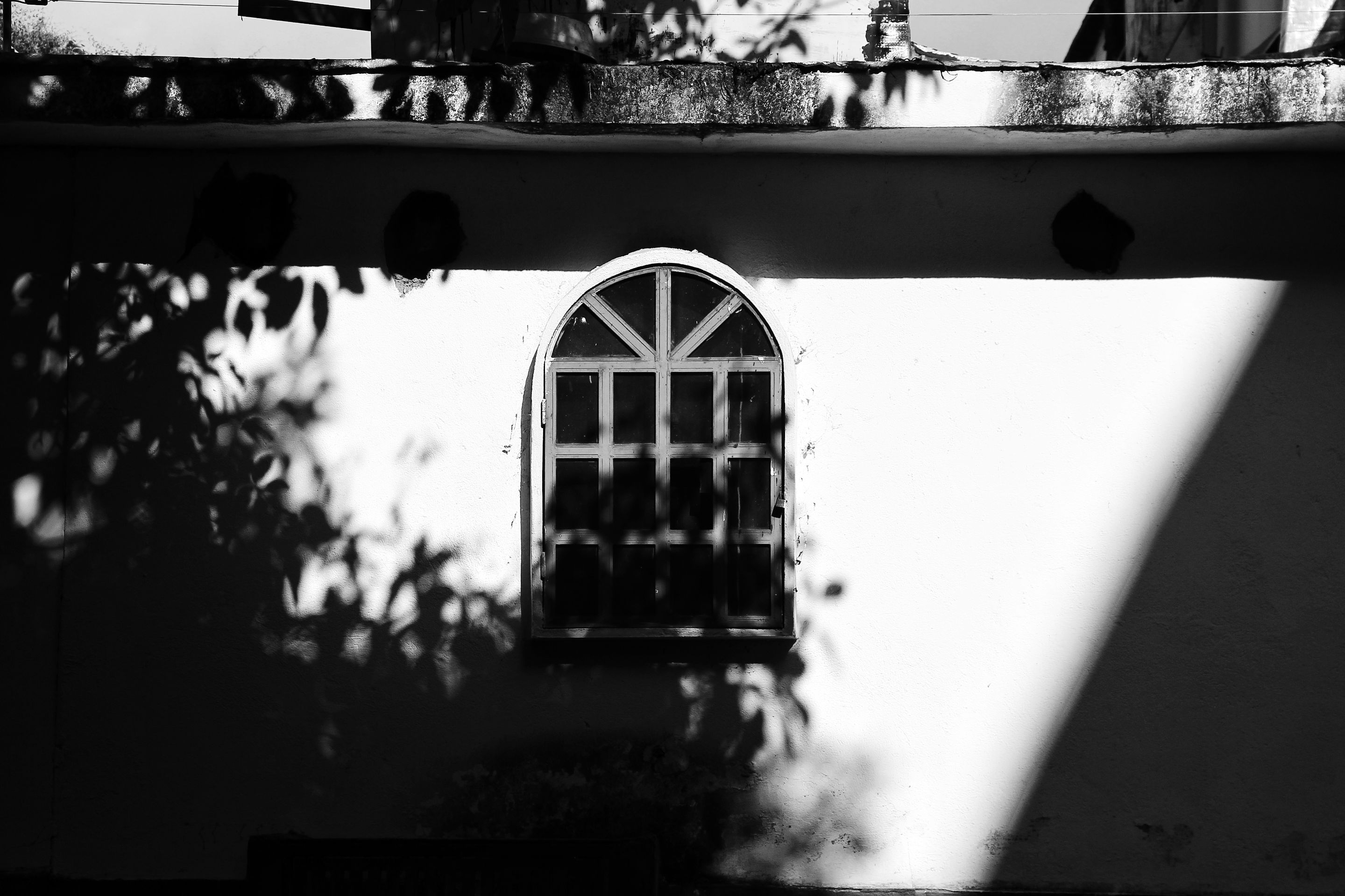 IMG_7824-01.jpeg