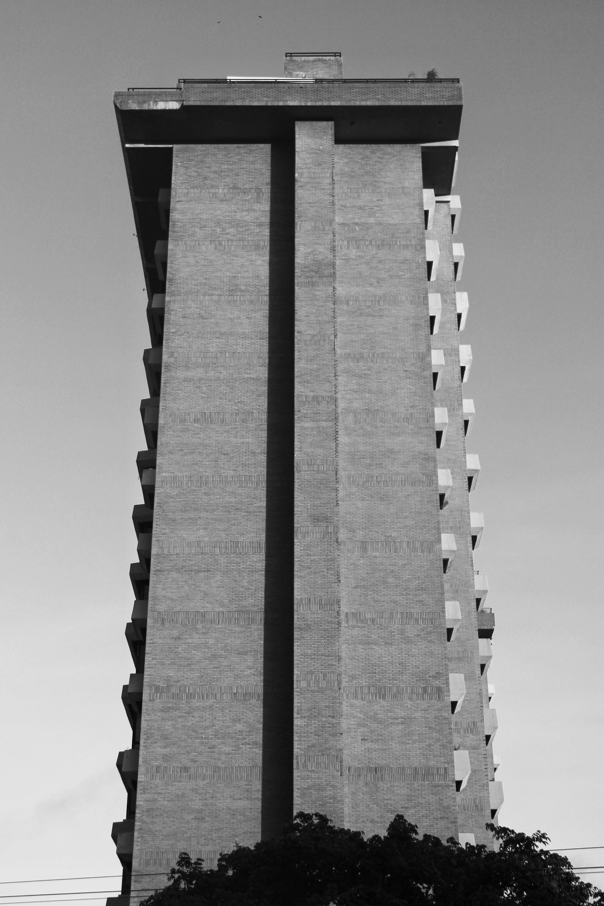 1000174479.jpg