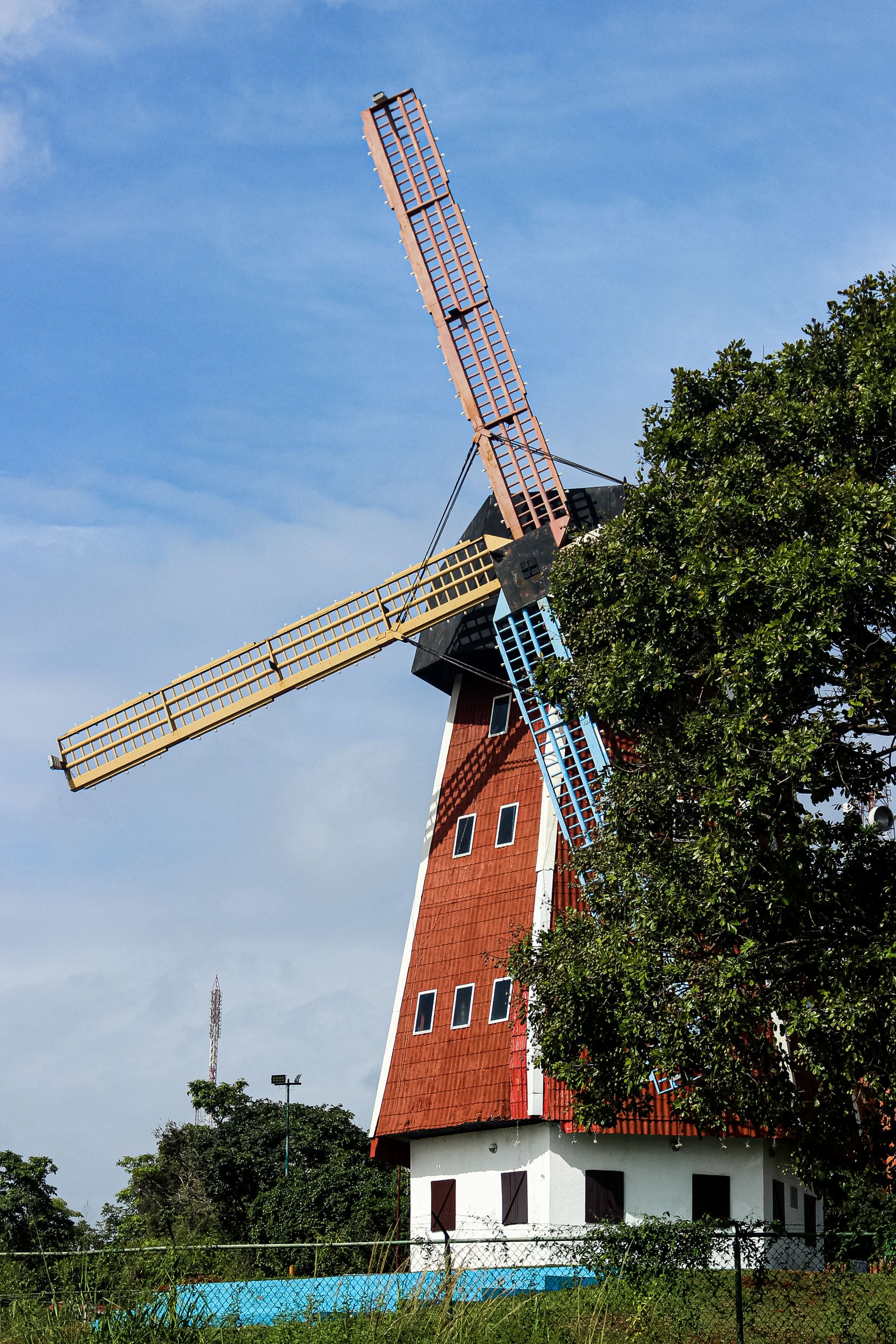 IMG_5953.jpg