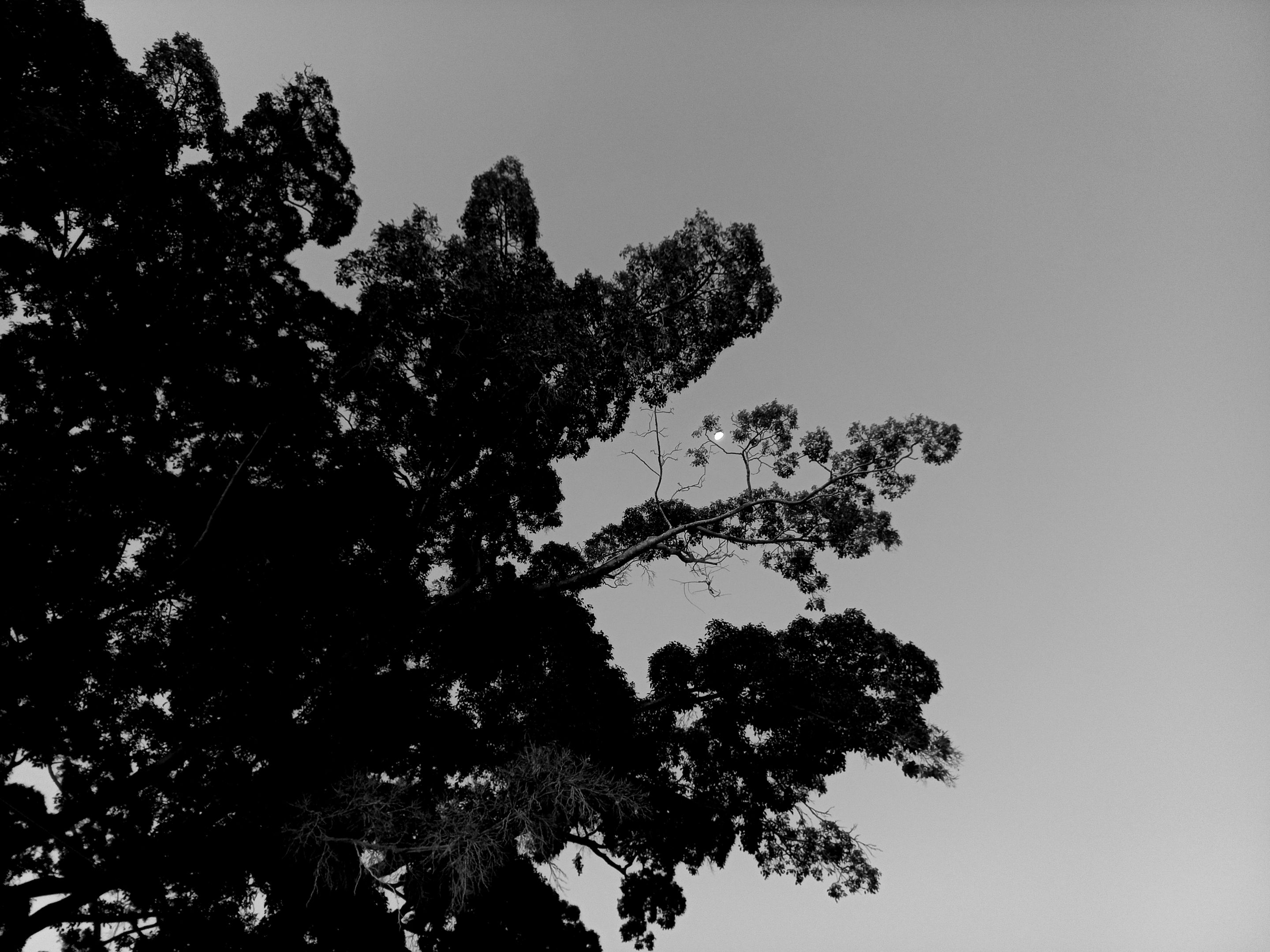 20220312_185130.jpg