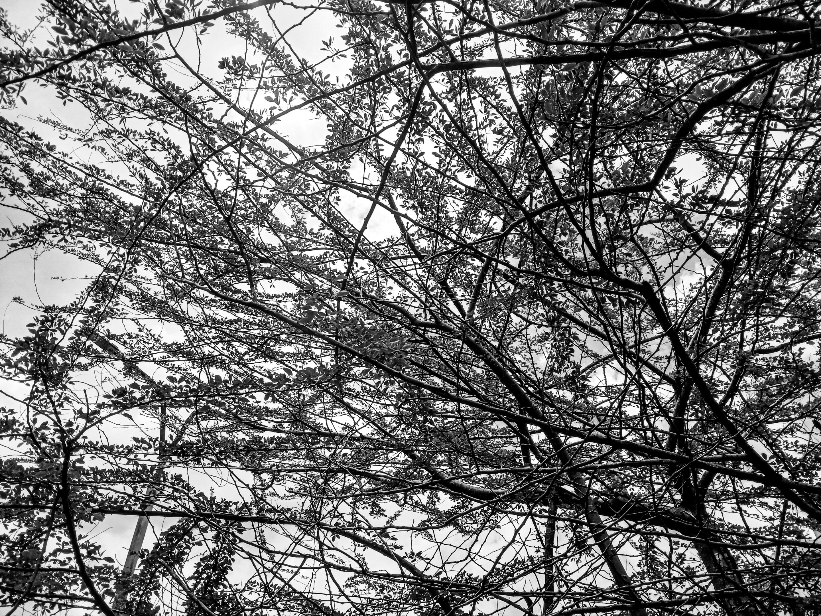 20250604_115031.jpg