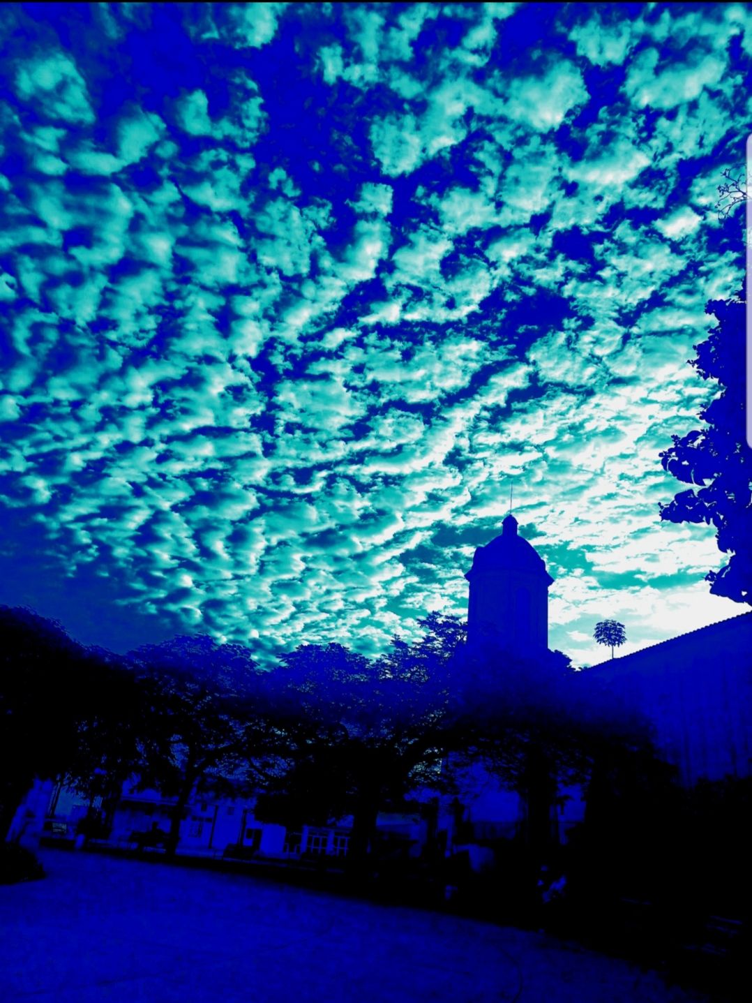 20250914_104457.jpg