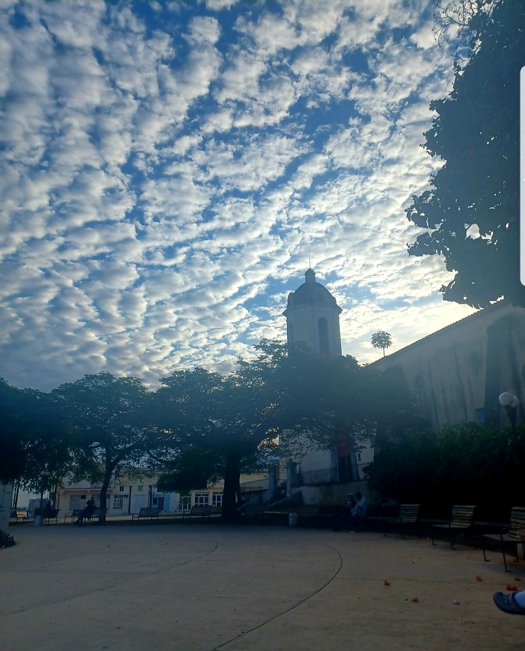 20250914_104559.jpg
