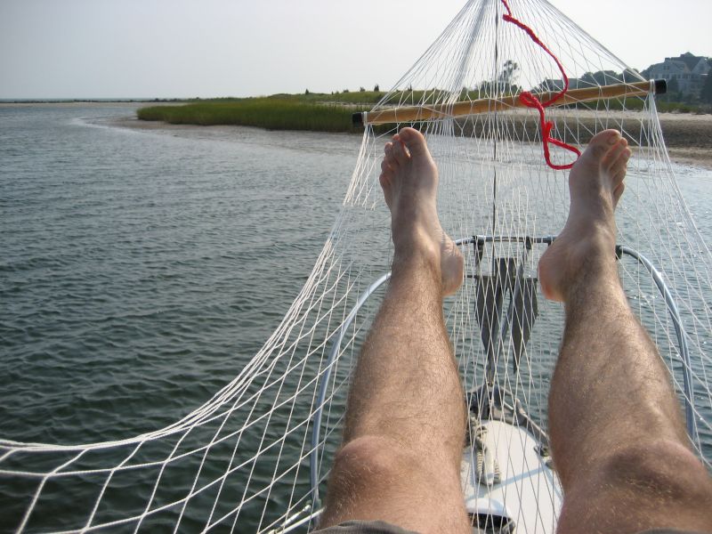 legs.jpg