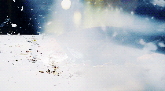 anima05.2.gif