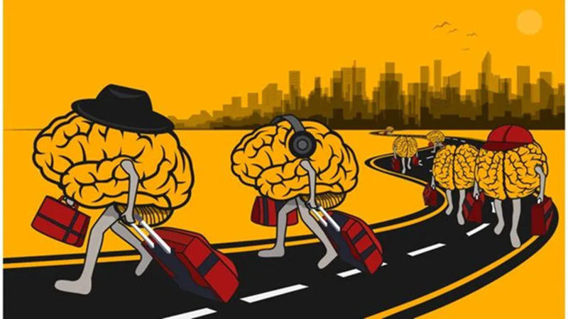 run_brain.png