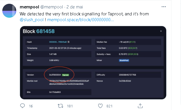 taproot02.png