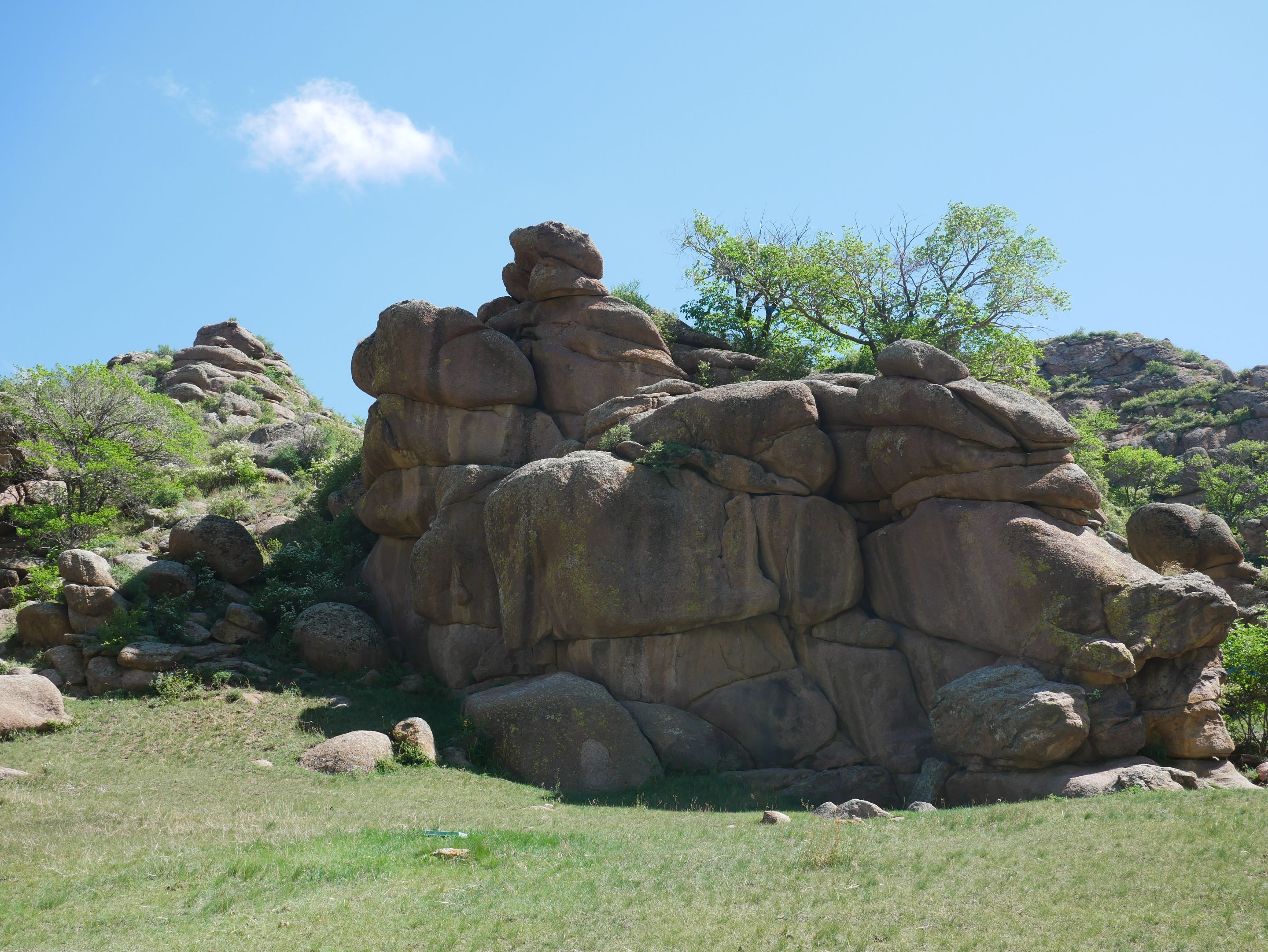 P1010497.JPG