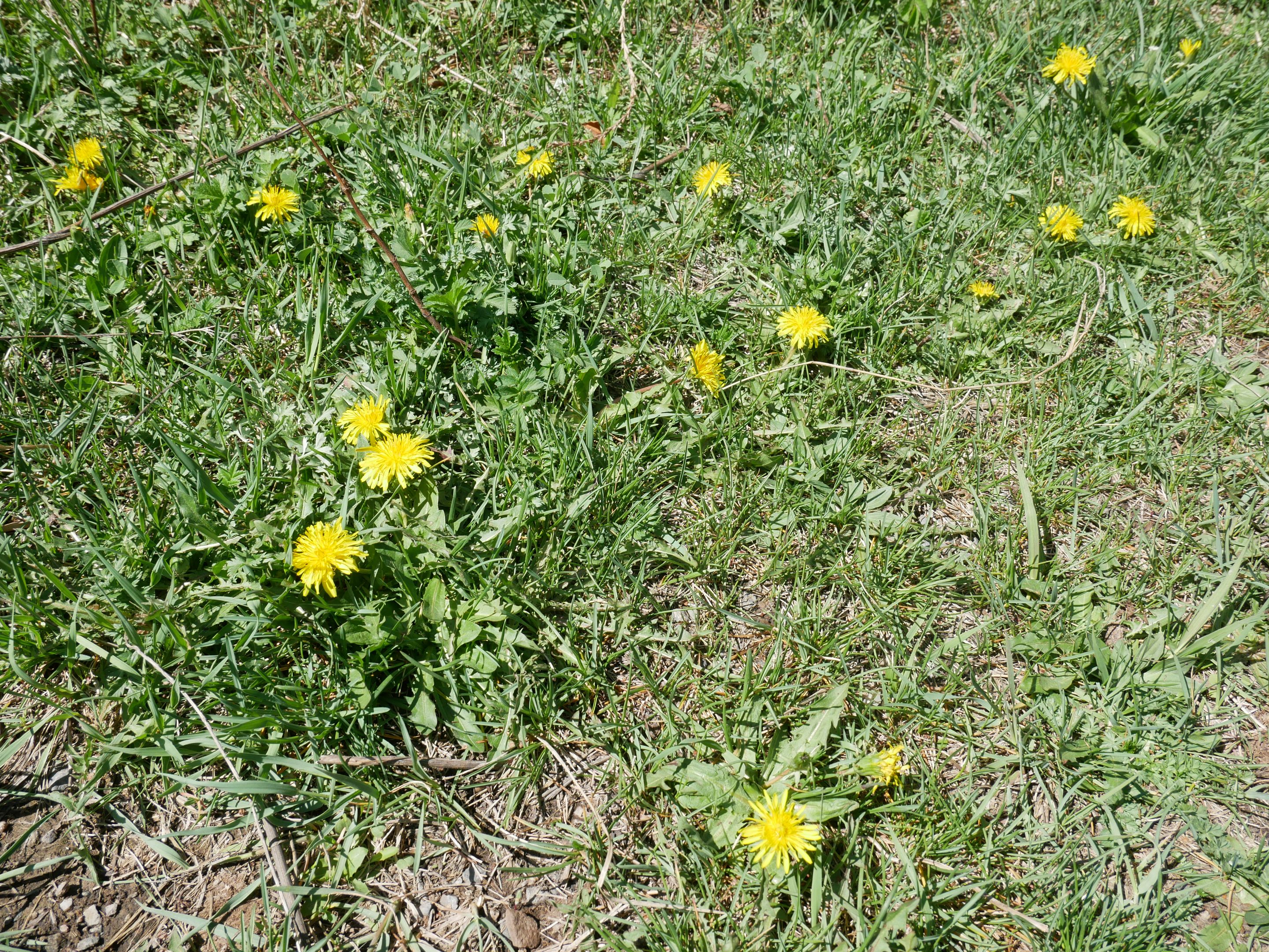 P1010486.JPG