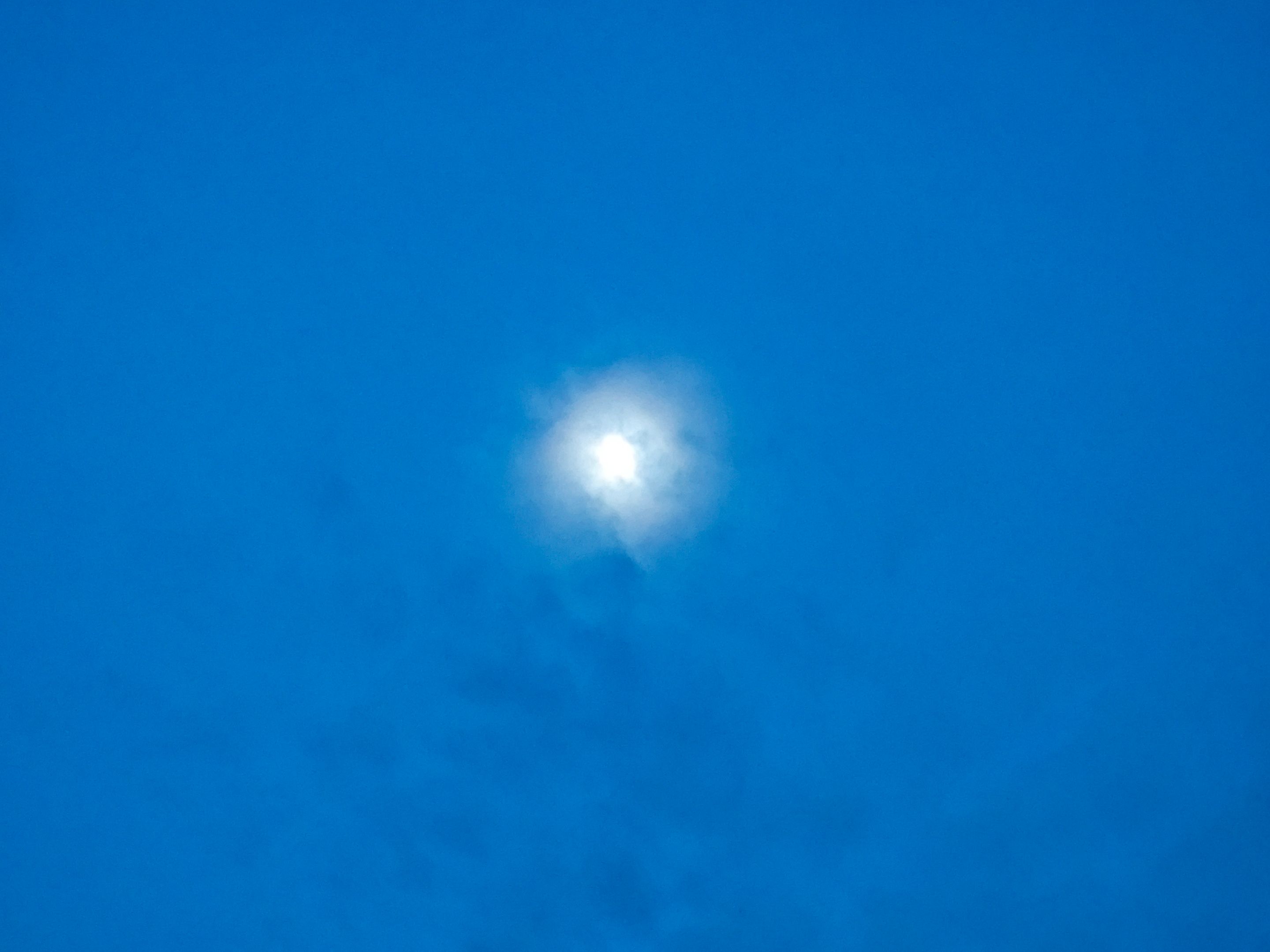 IMG_20250607_195405.jpg