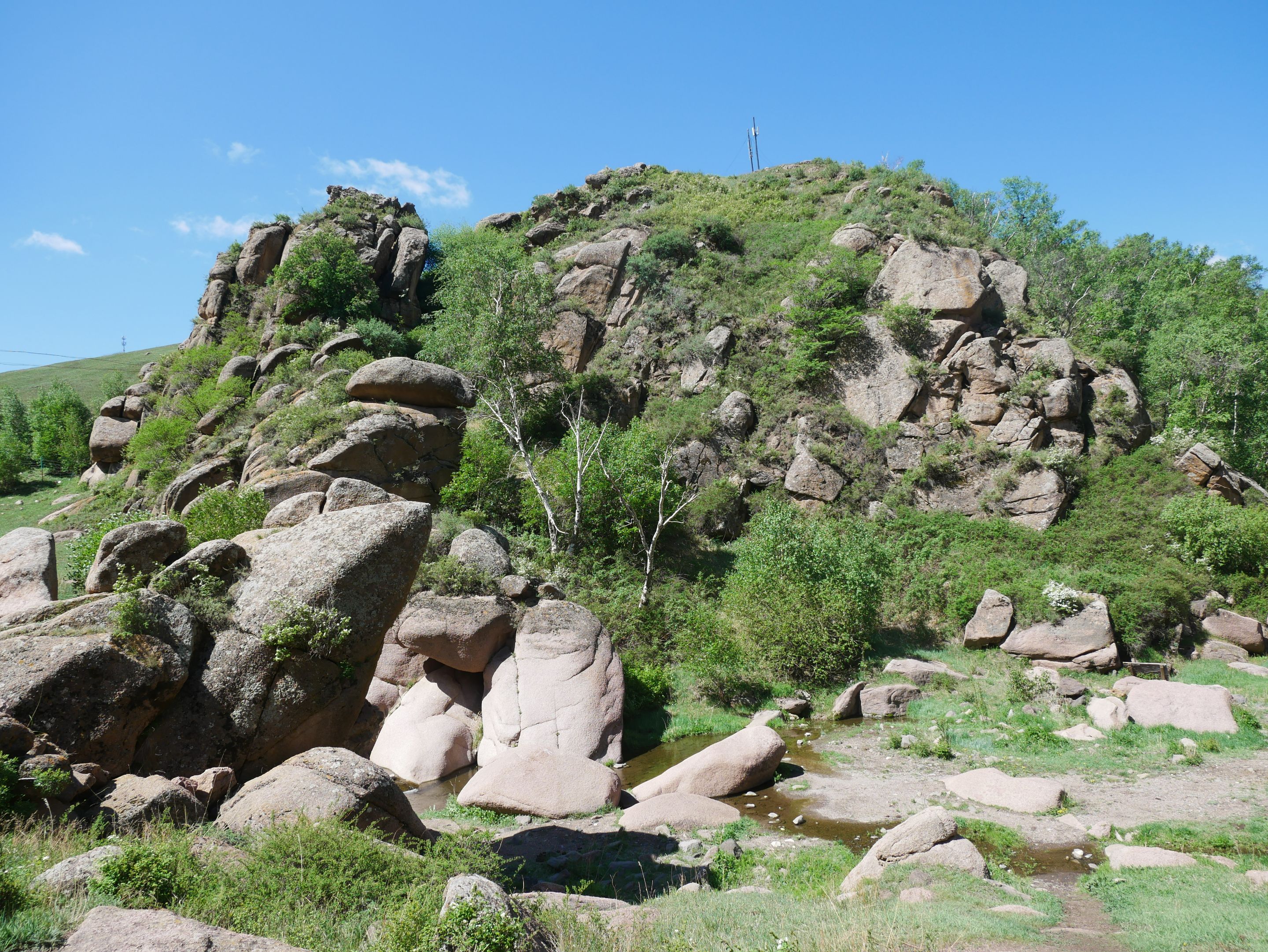 P1010469.JPG