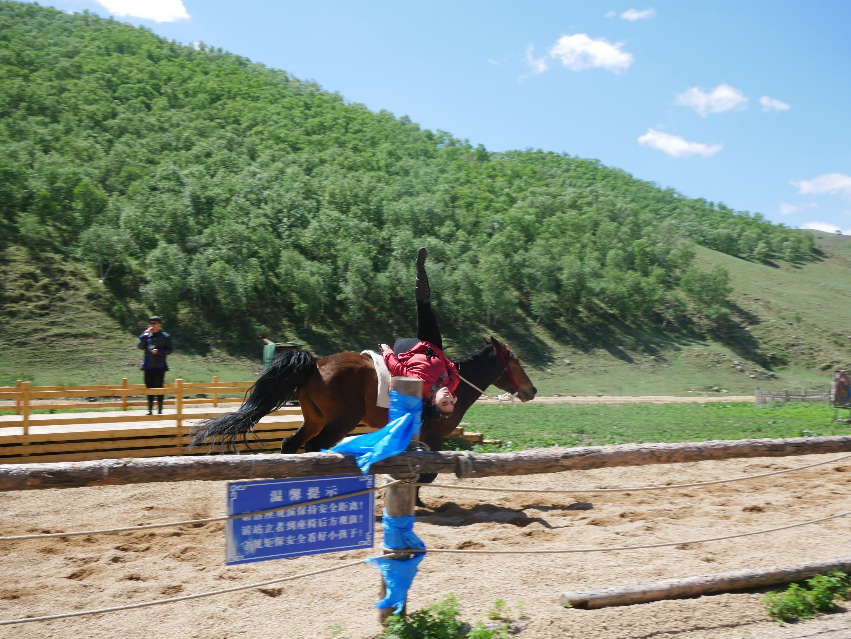 P1010515.JPG