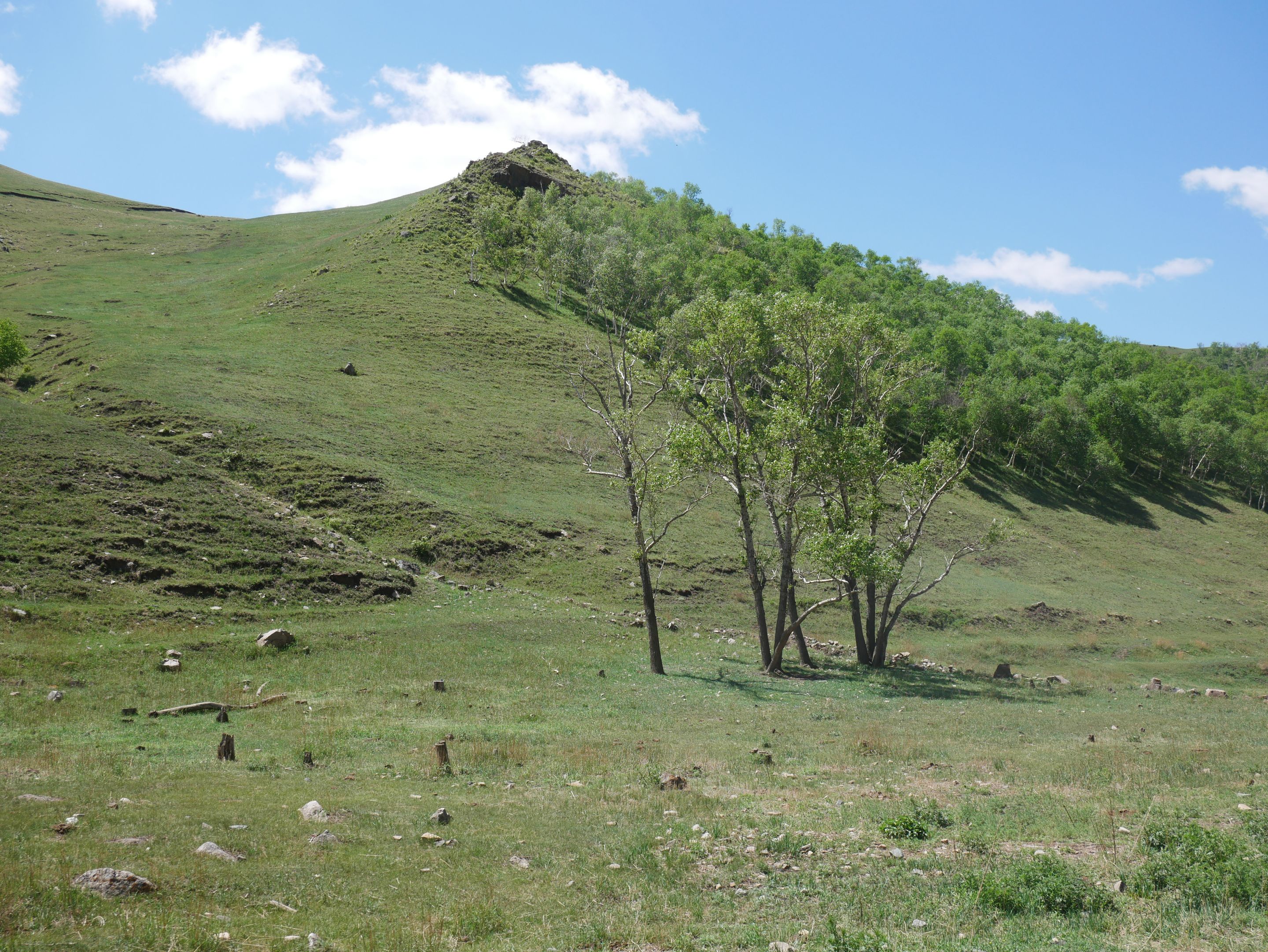 P1010523.JPG