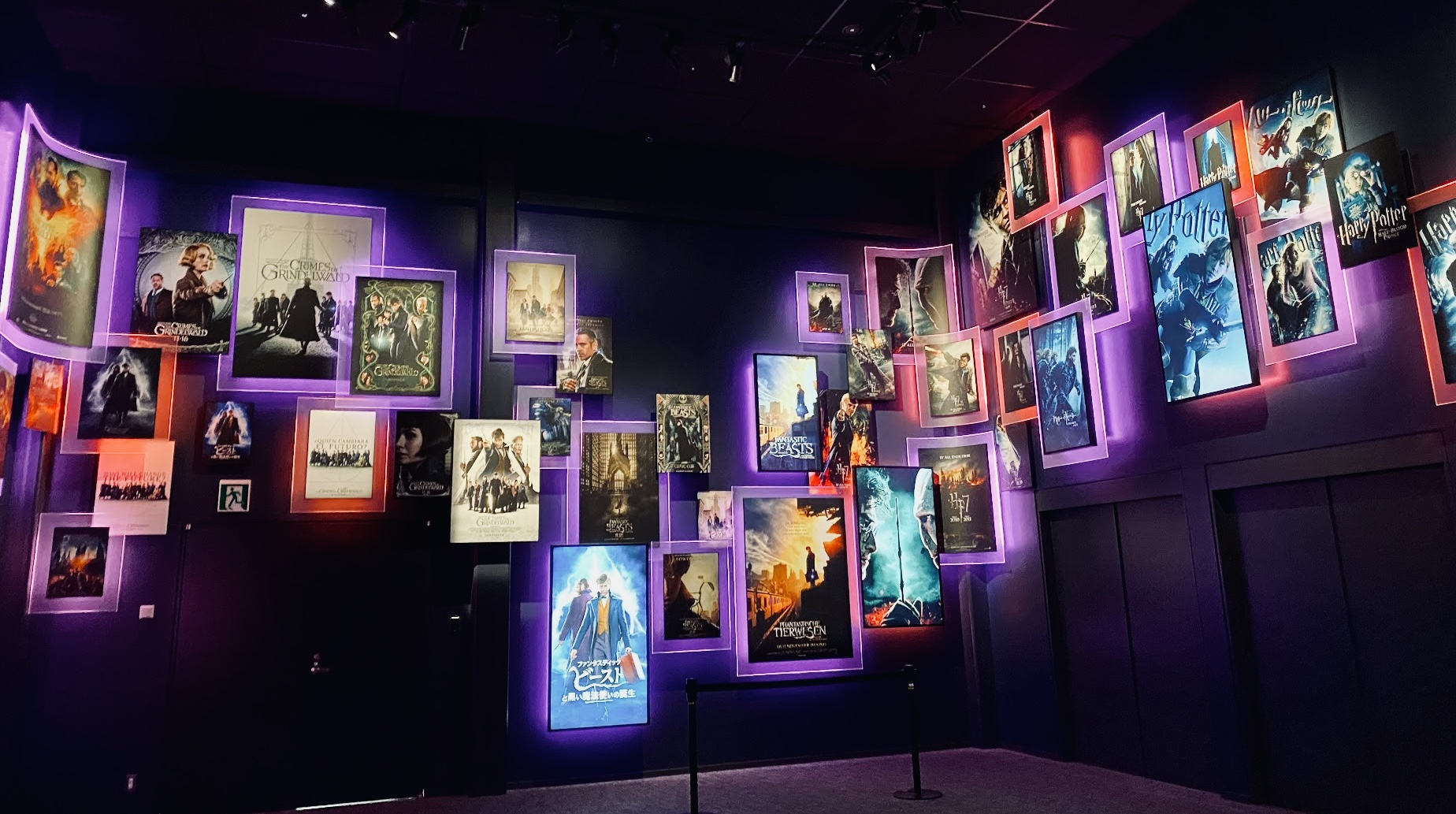 the Harry Potter films