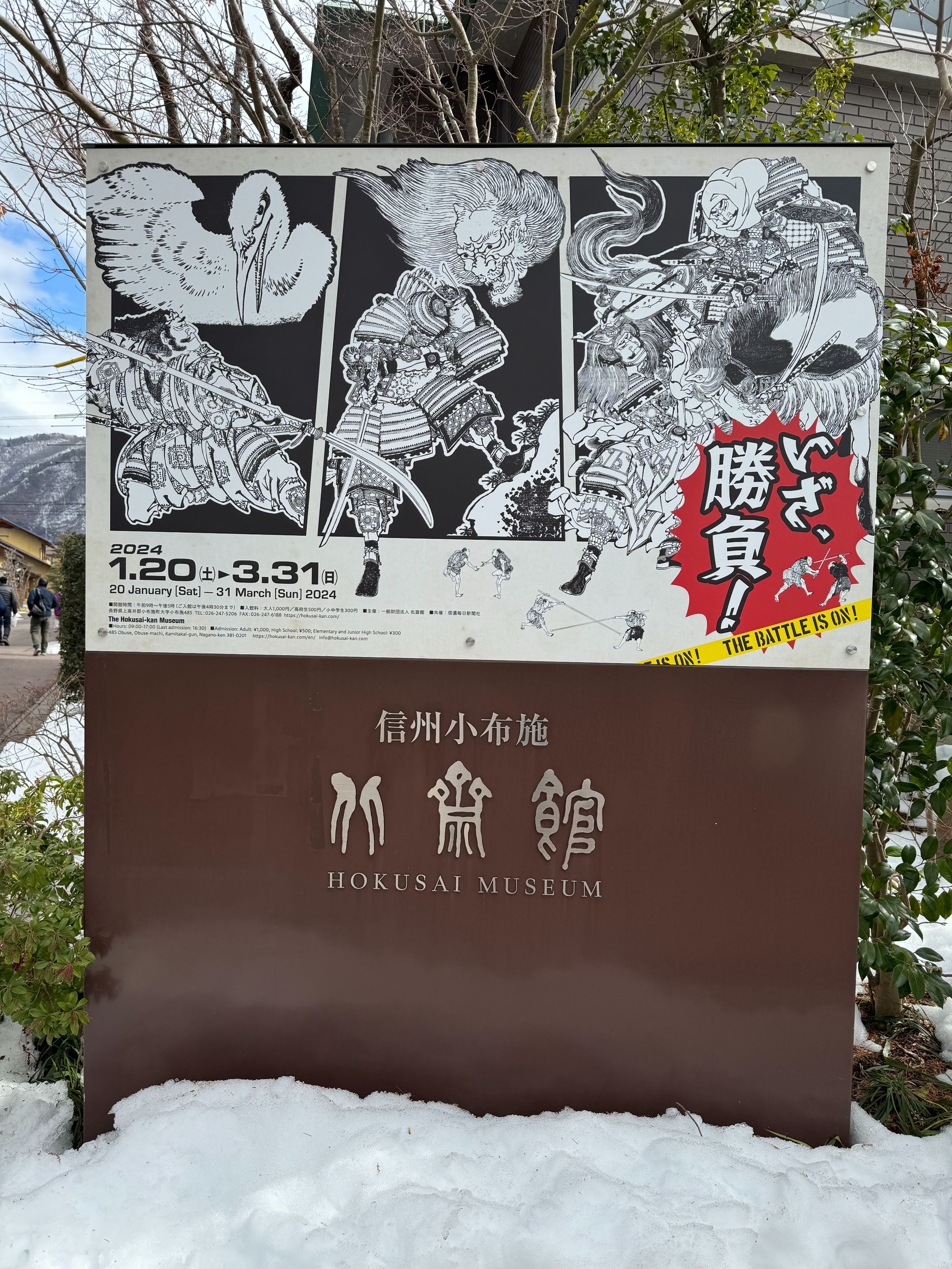 IMG_2429.jpeg