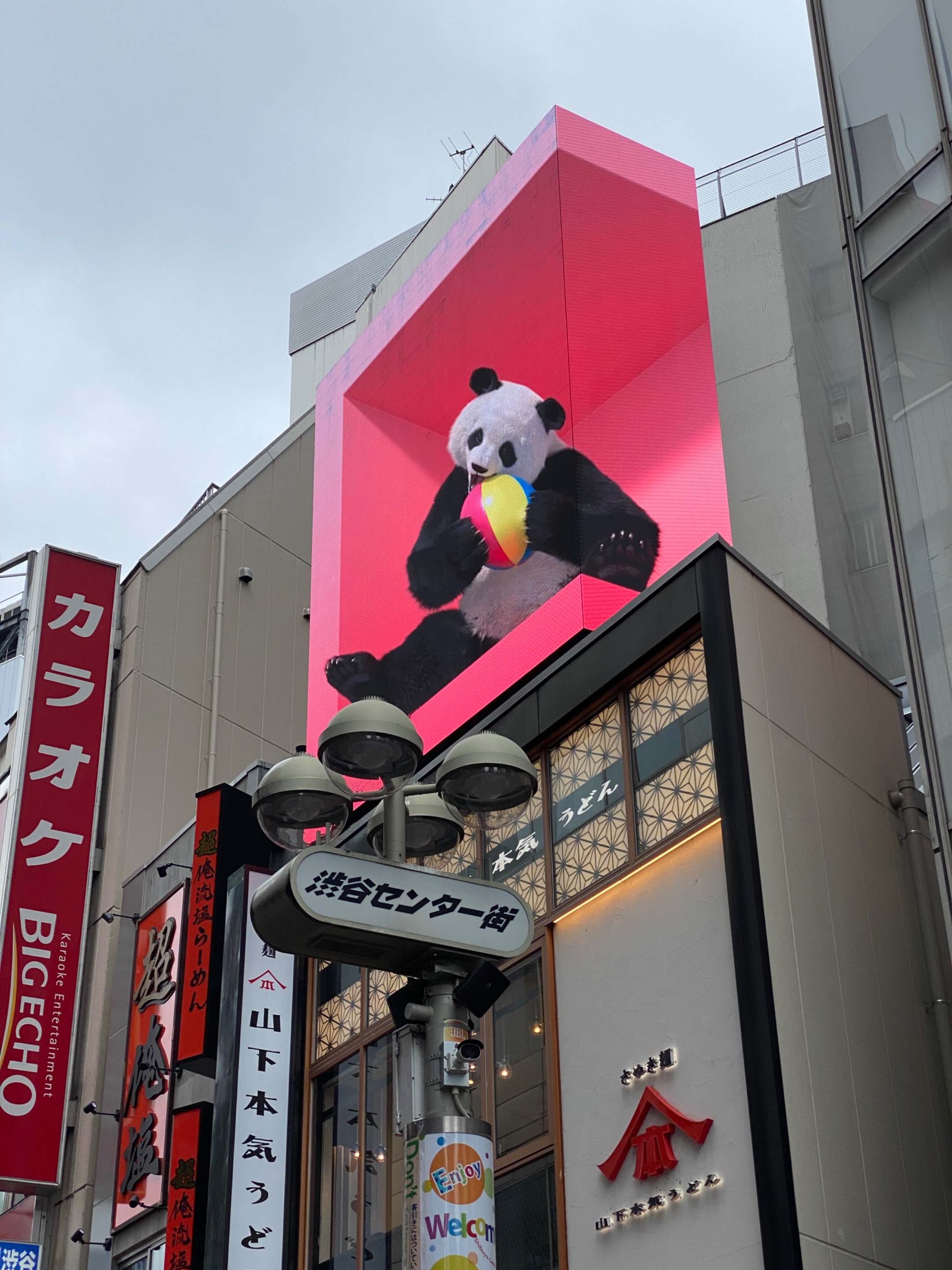 Panda in Shibuya
