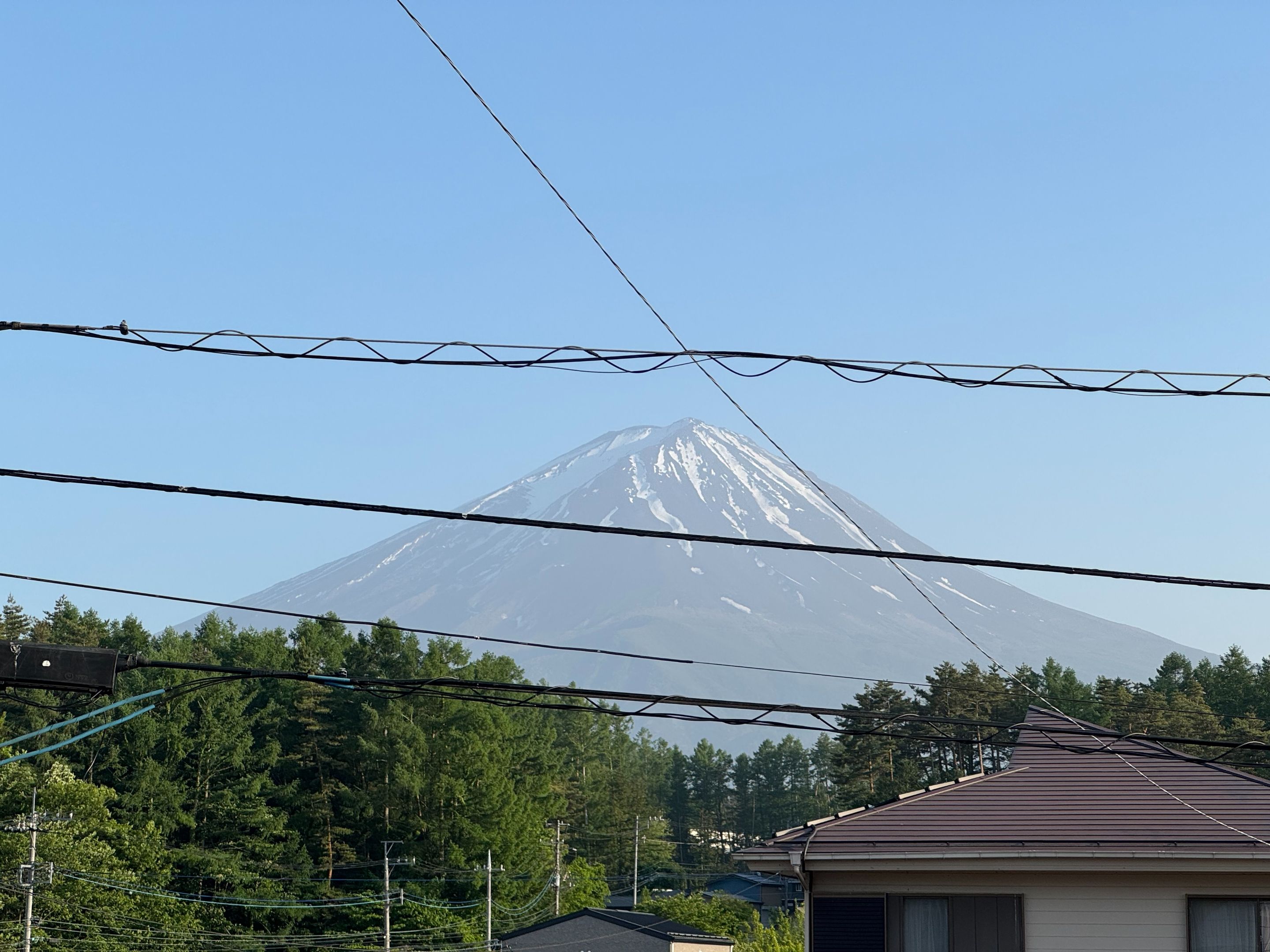IMG_6623.jpeg