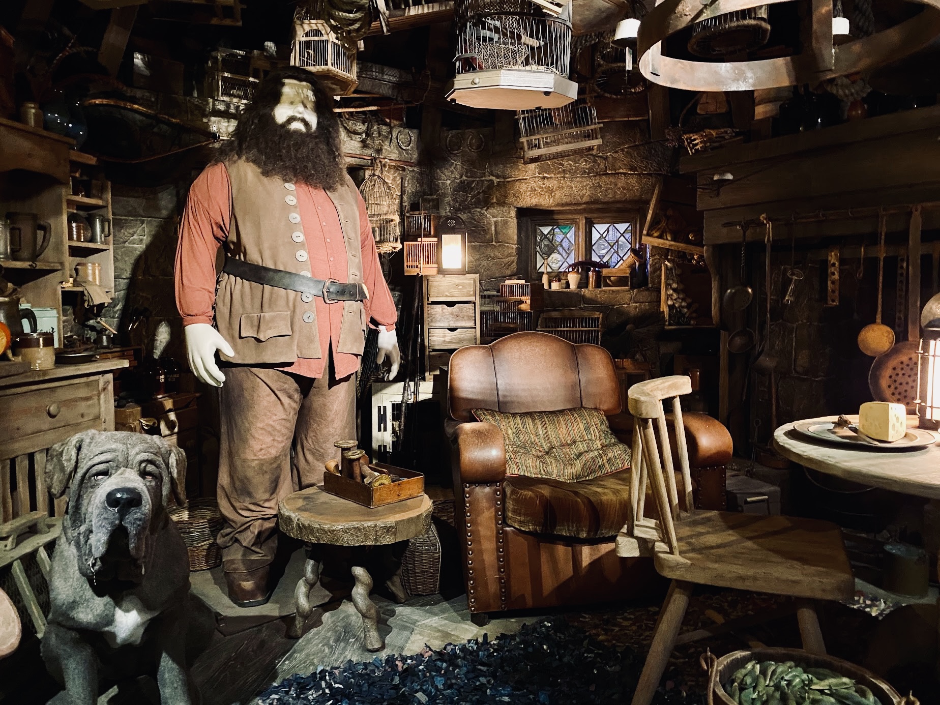 inside Hagrid’s home