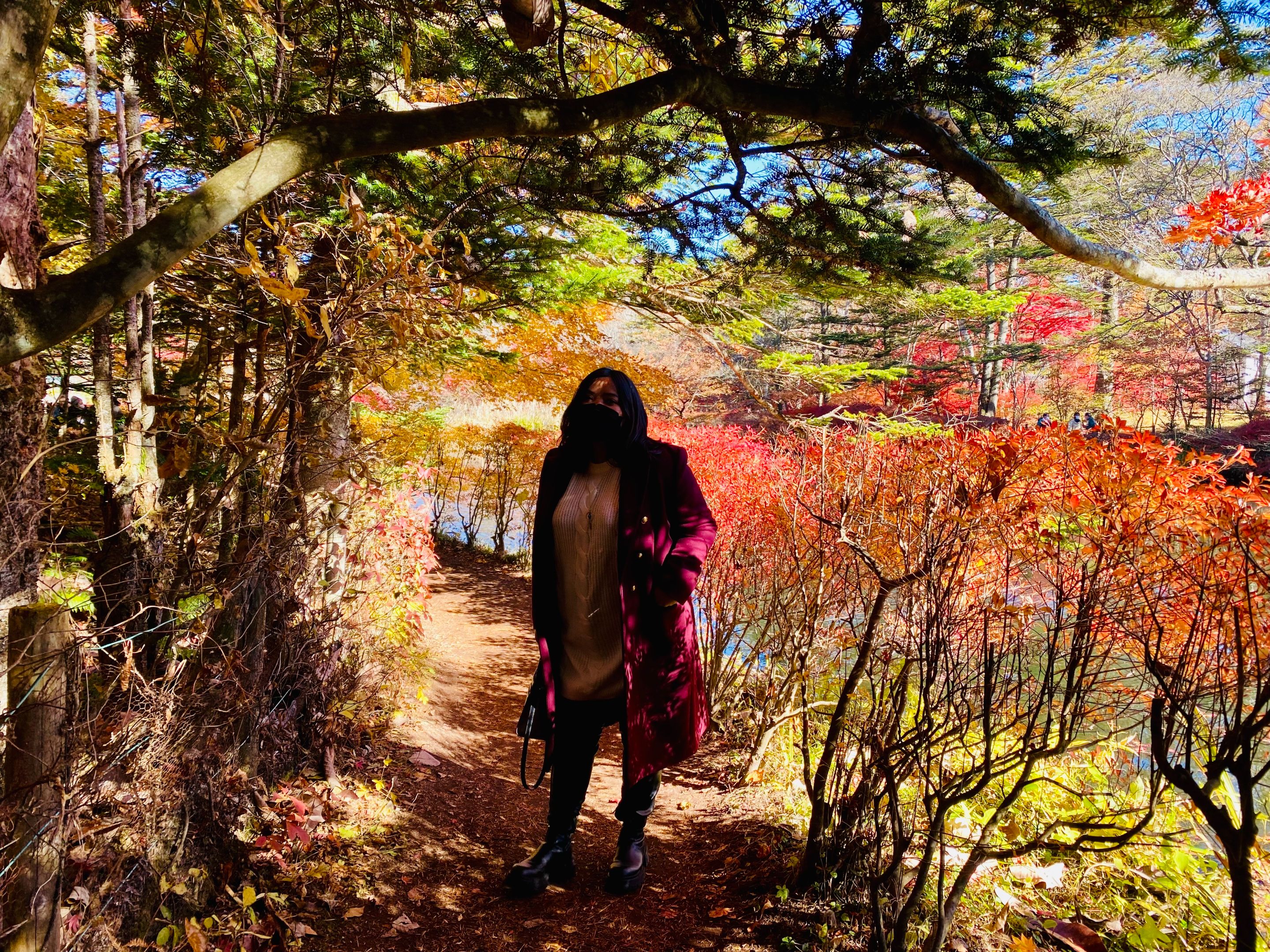 The narrow path full of trees