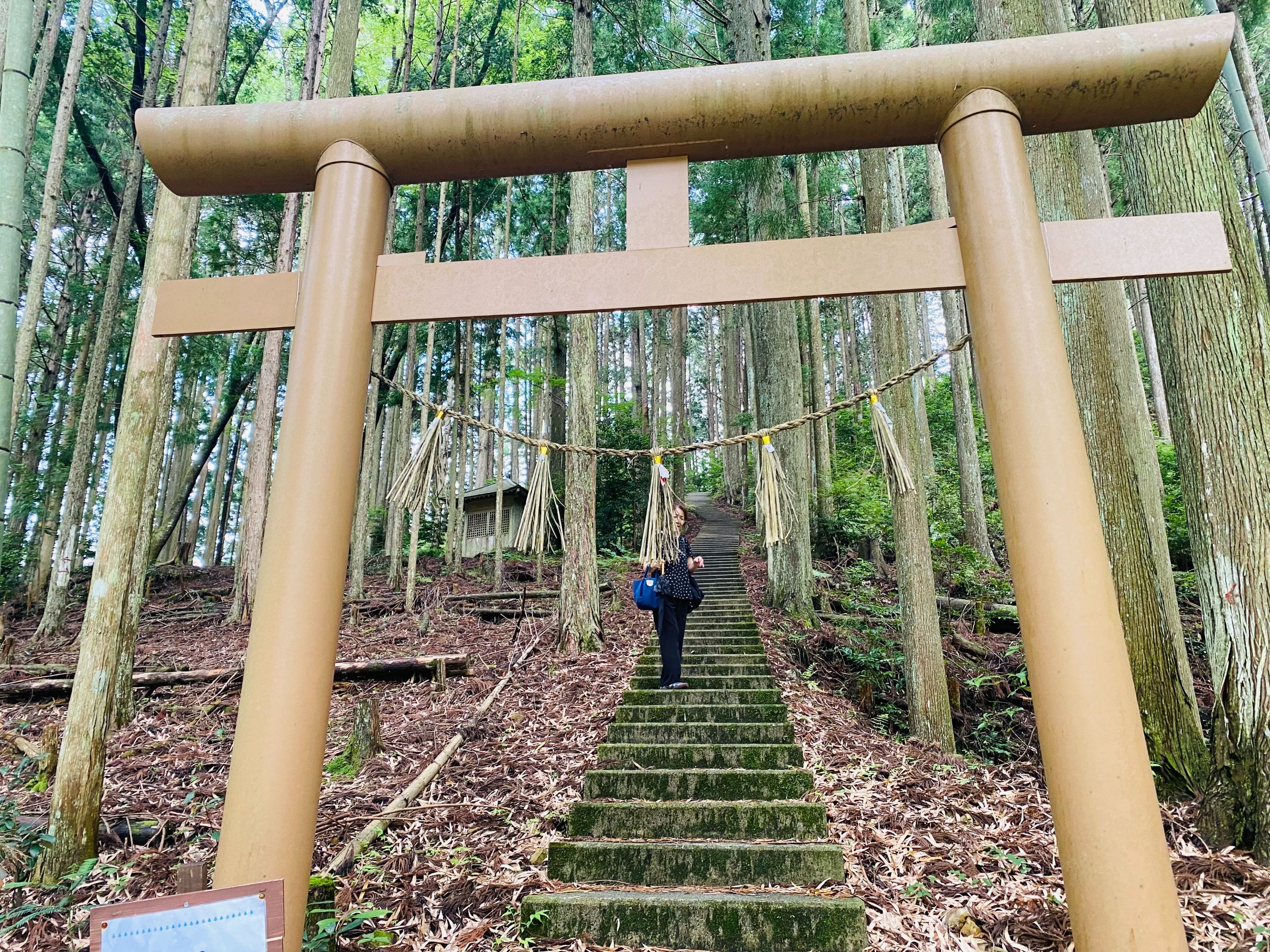 Passing by this torii